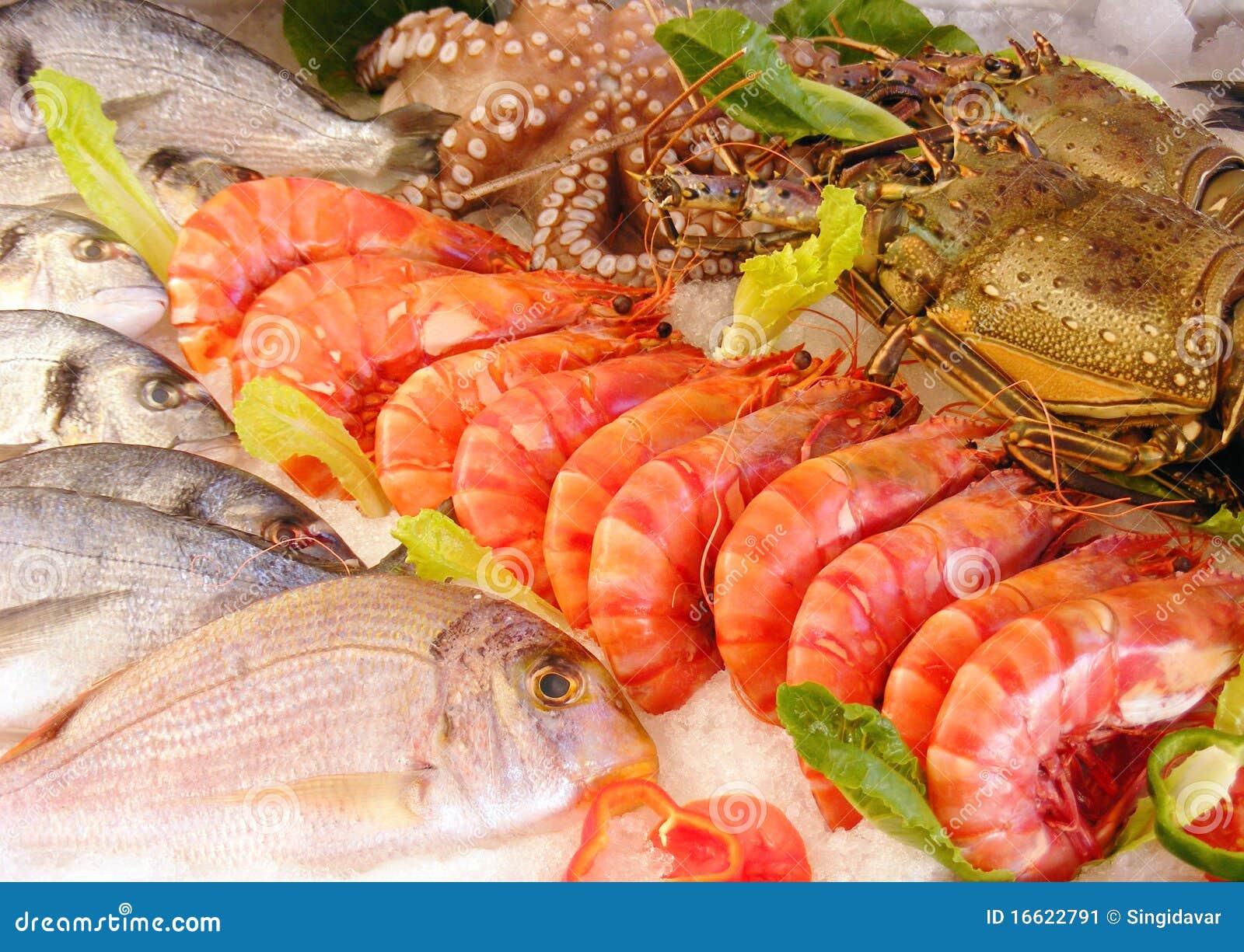Fresh seafood stock image. Image of seafood, restaurant - 16622791