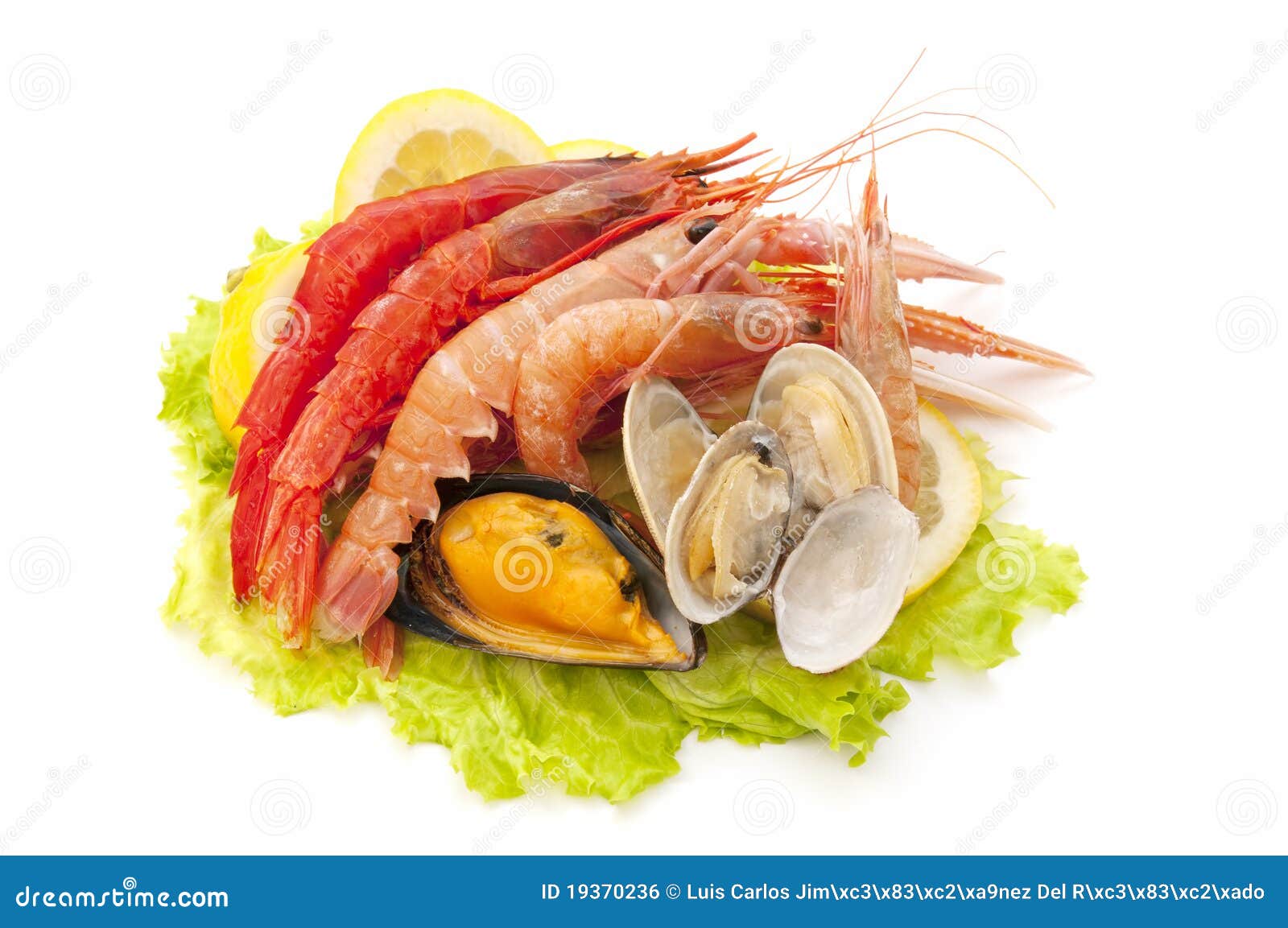 Fresh seafood stock photo. Image of shrimp, gourmet, fish 19370236