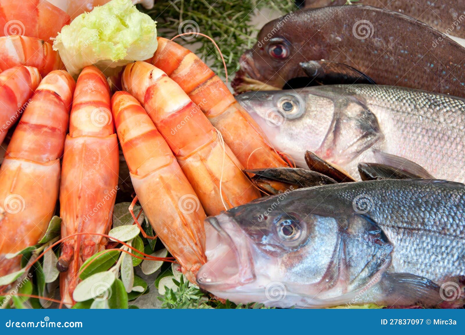 Fresh seafood stock image. Image of food, fish, market 27837097