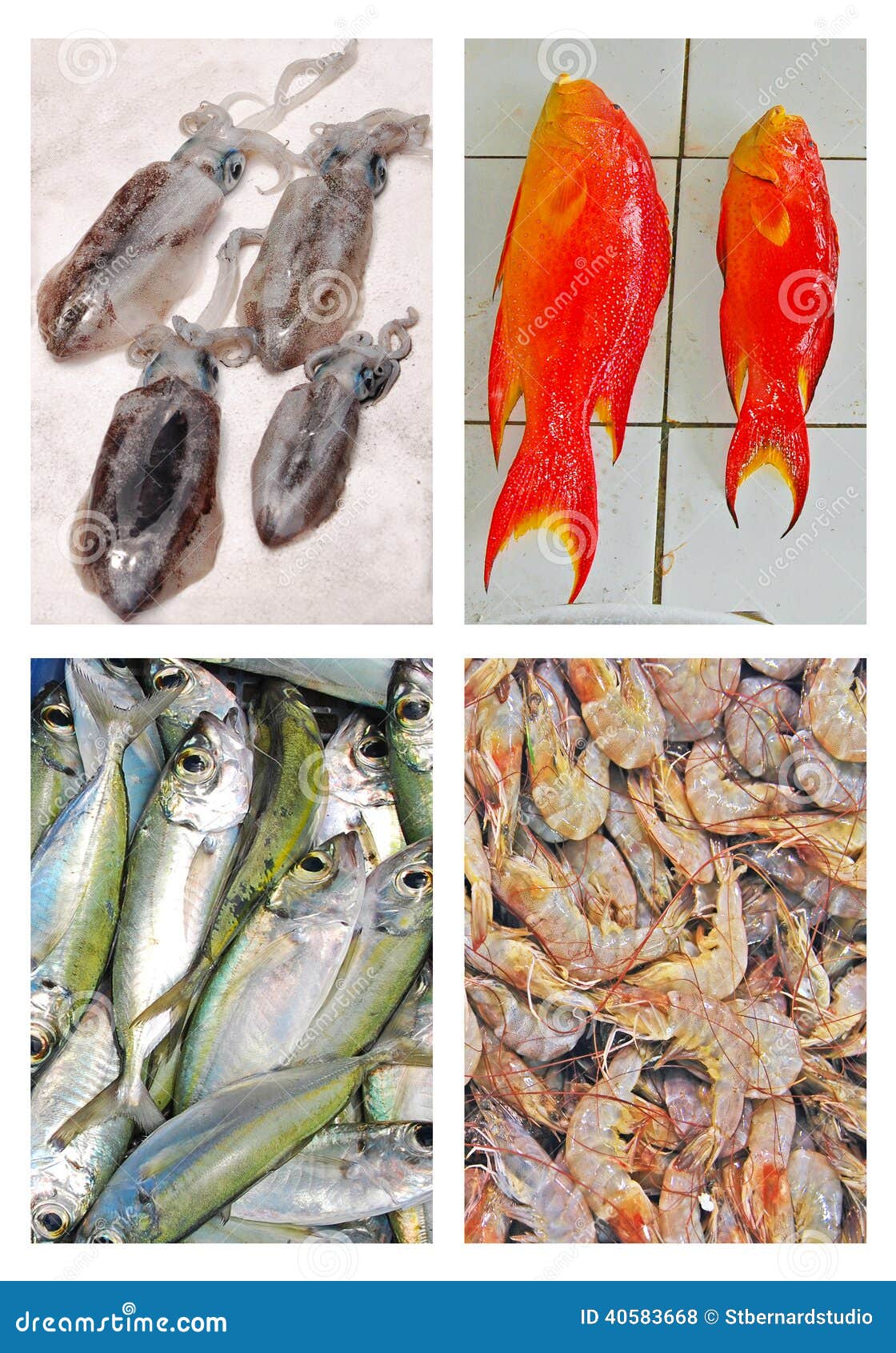 collage of fresh seafood on display for sale