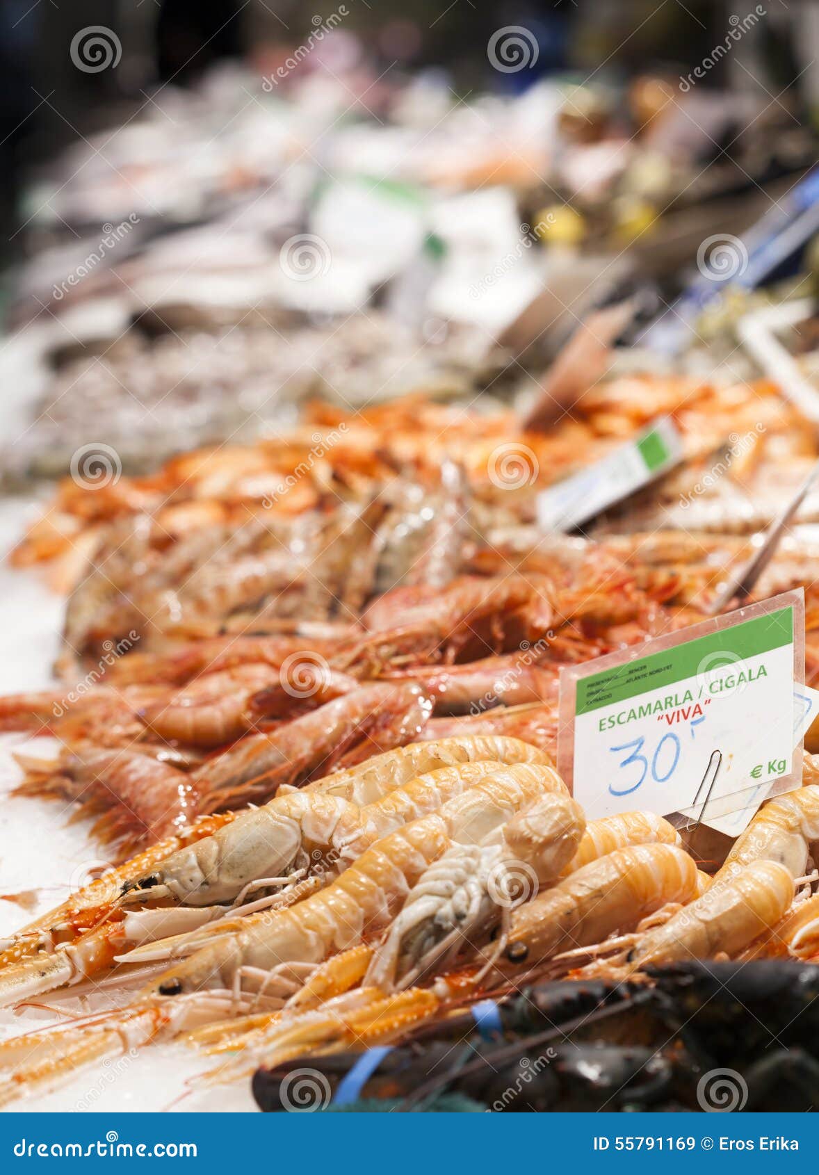 Fresh Seafood at Fish Market Stock Image Image of market, gourmet