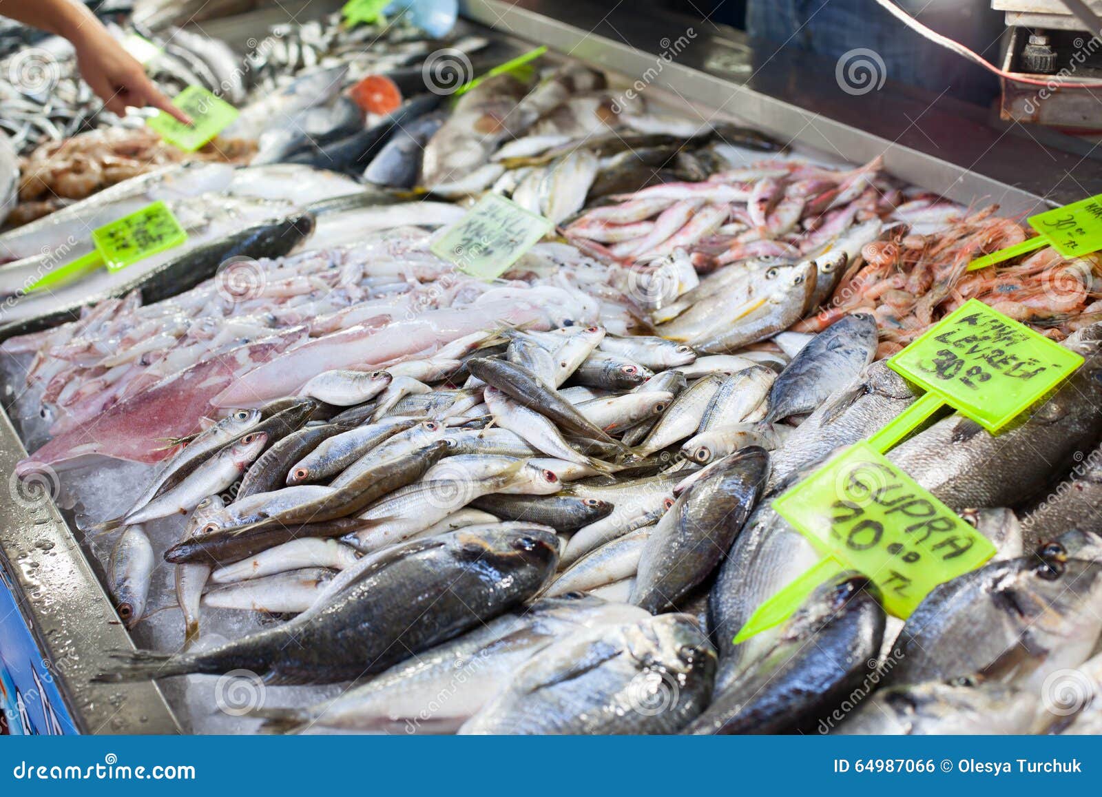 Fresh Seafood in Fish Market Stock Photo Image of food, nutrition
