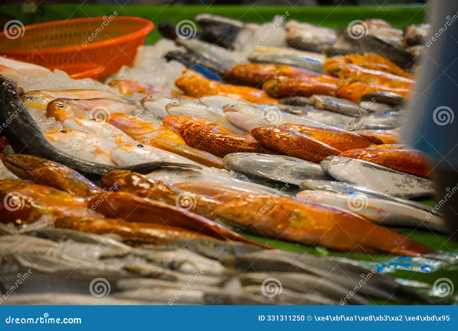 fresh seafood in the market