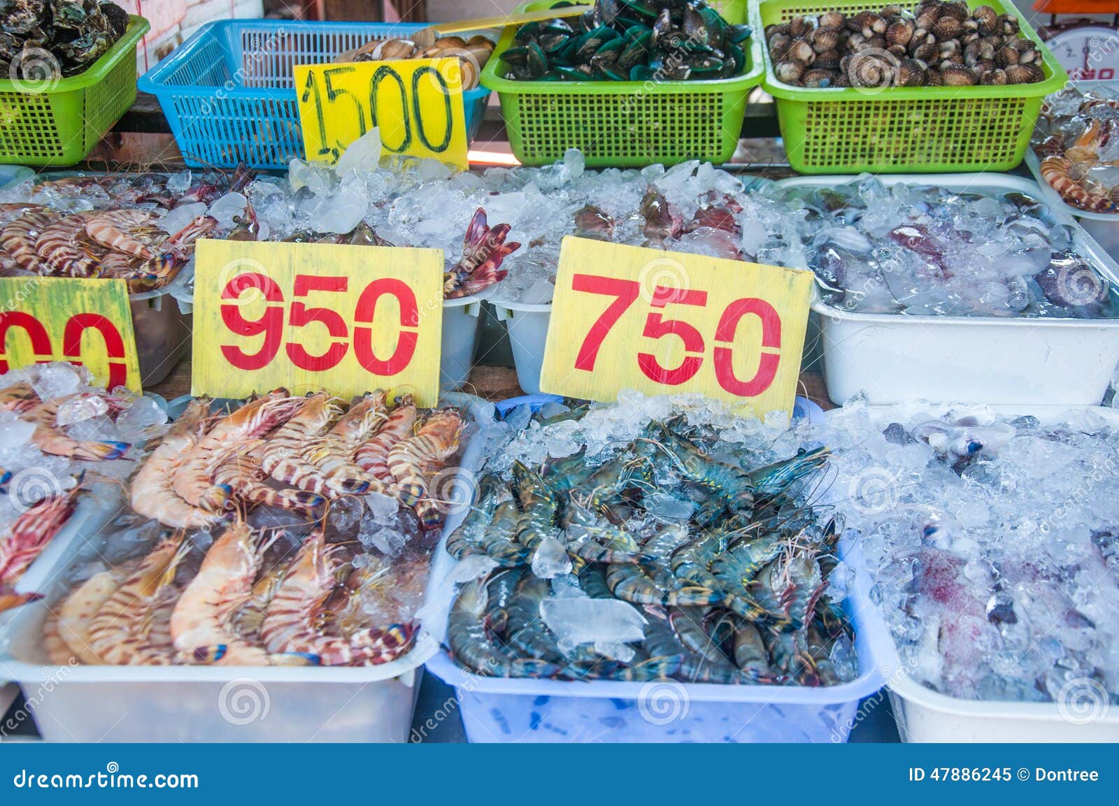 Fresh Seafood on the Market Stock Image Image of fishing, life 47886245