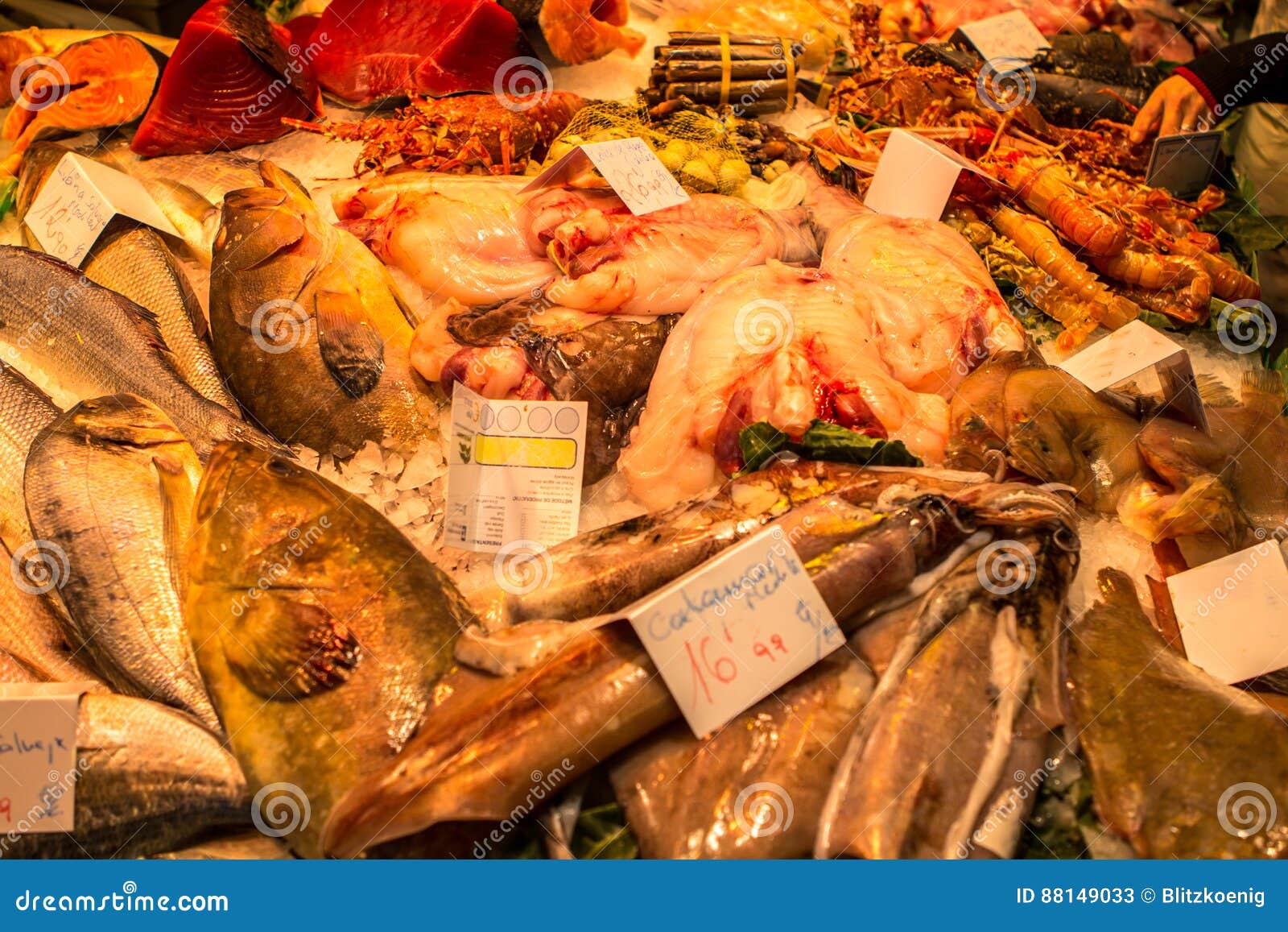 Fresh Seafoods at the Market in Barcelona Stock Image Image of