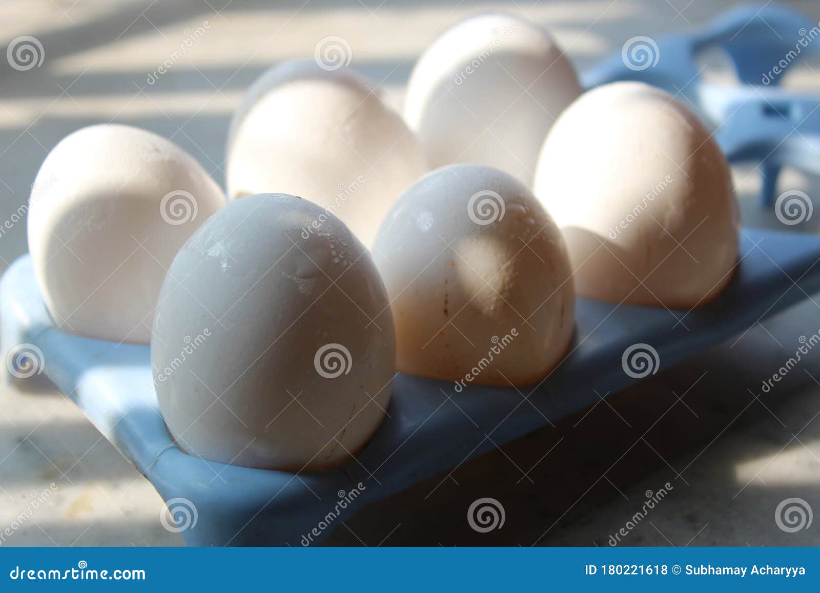 Fresh Set of Chicken`s White Eggs in Blue Egg Holder Tray Stock Photo