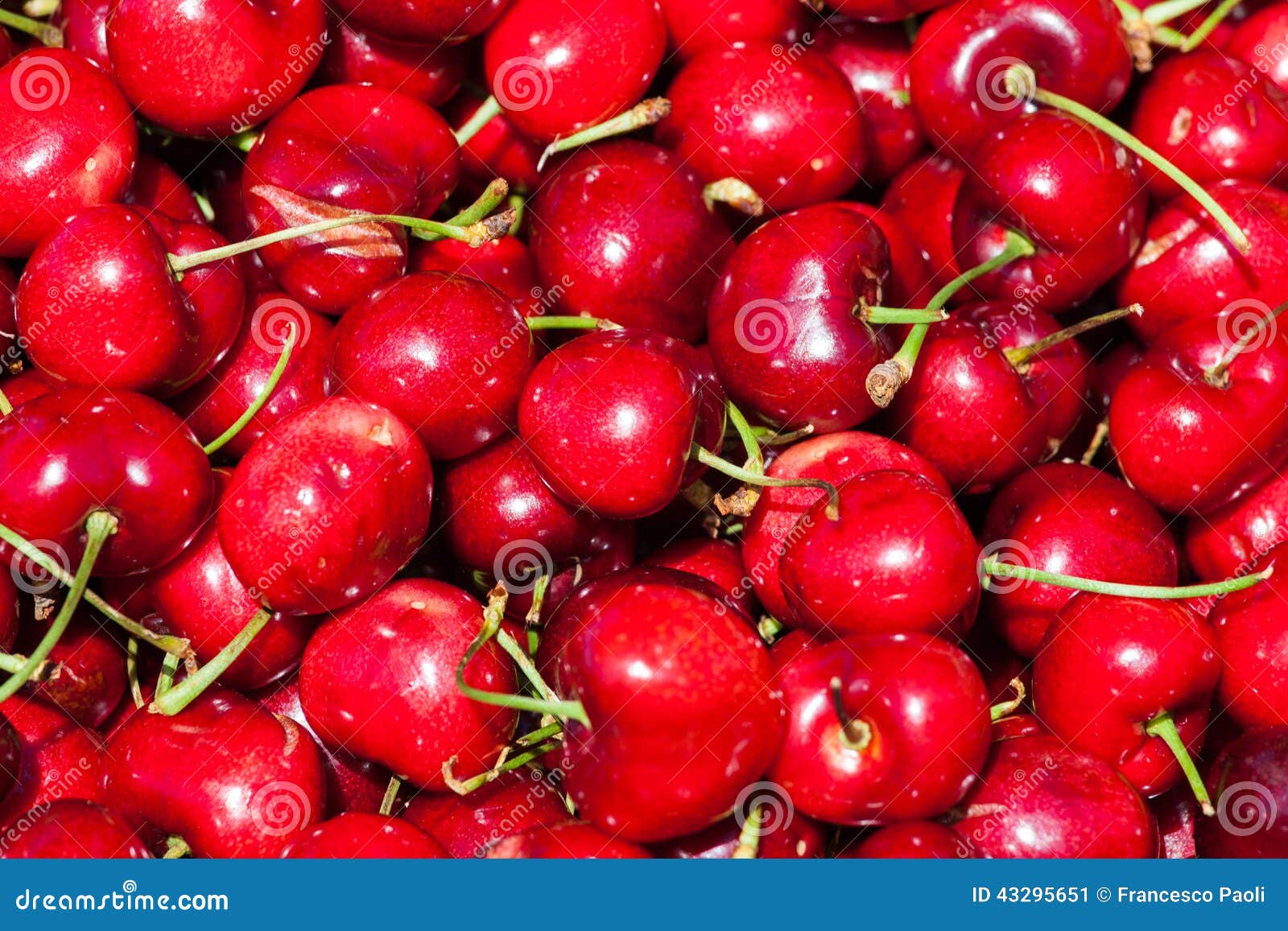 Fresh set of Red cherries stock image. Image of appetizing 43295651