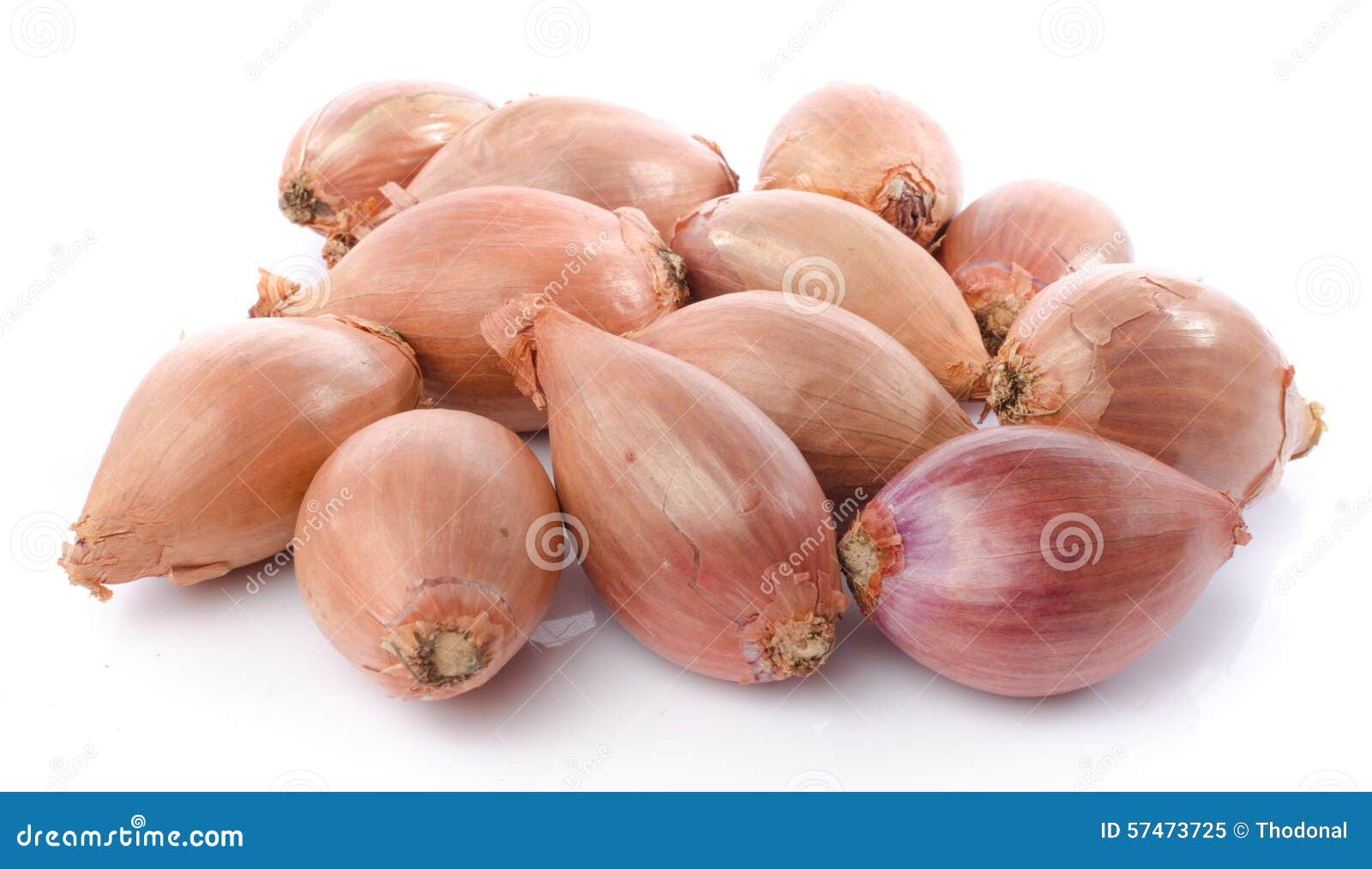 Fresh shallots stock image. Image of natural, white, ingredient 57473725