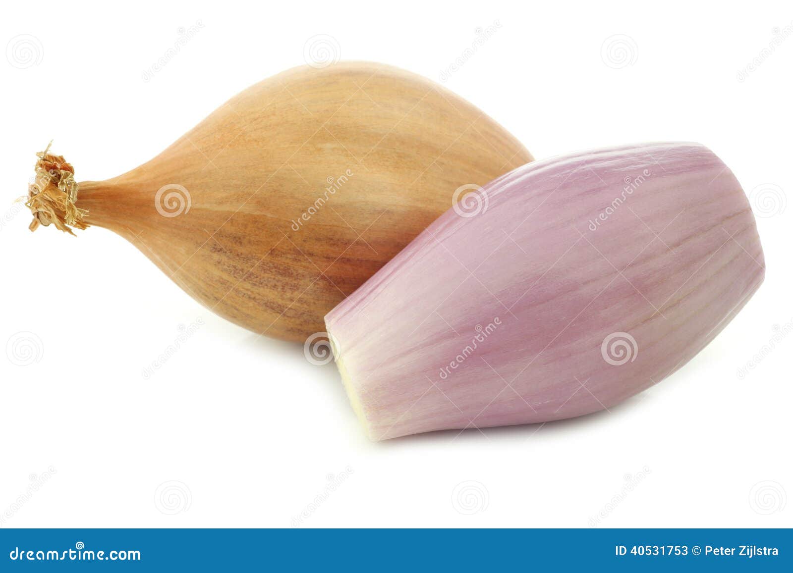 Fresh shallots stock image. Image of nutrition, healthy 40531753