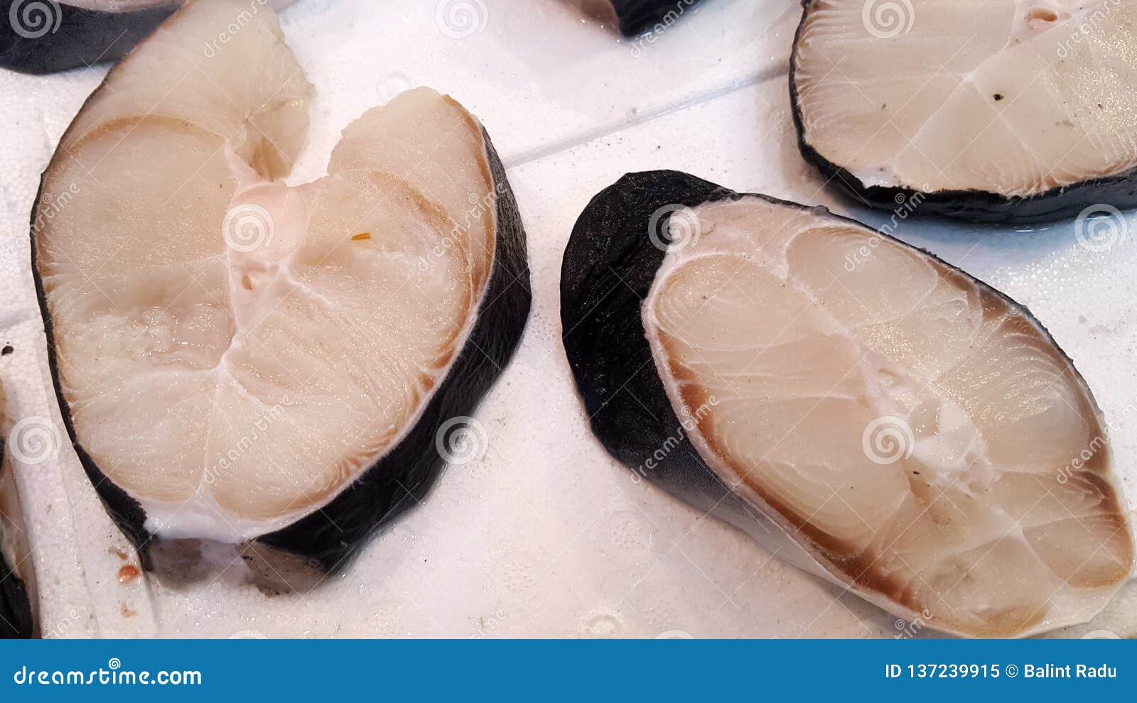 Fresh shark steak for sale stock image. Image of flesh - 137239915