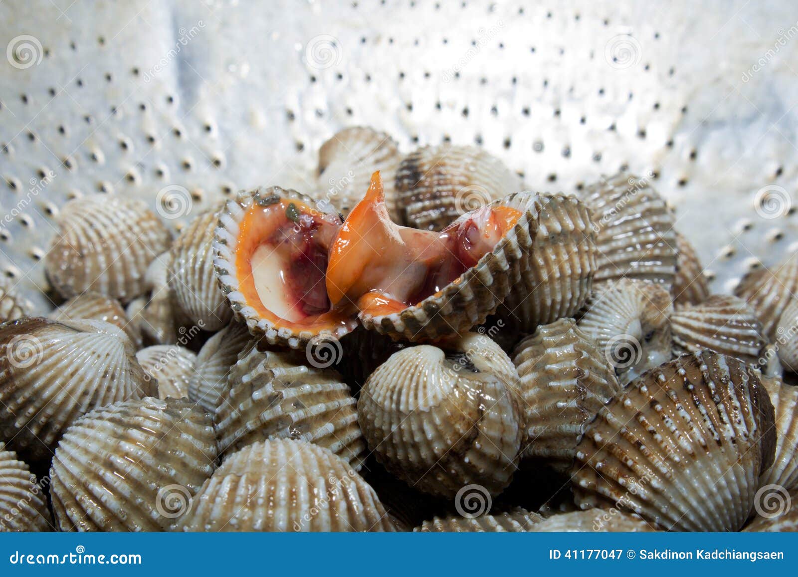 Shellfish Blood Cockles Edible Background RoyaltyFree Stock Image
