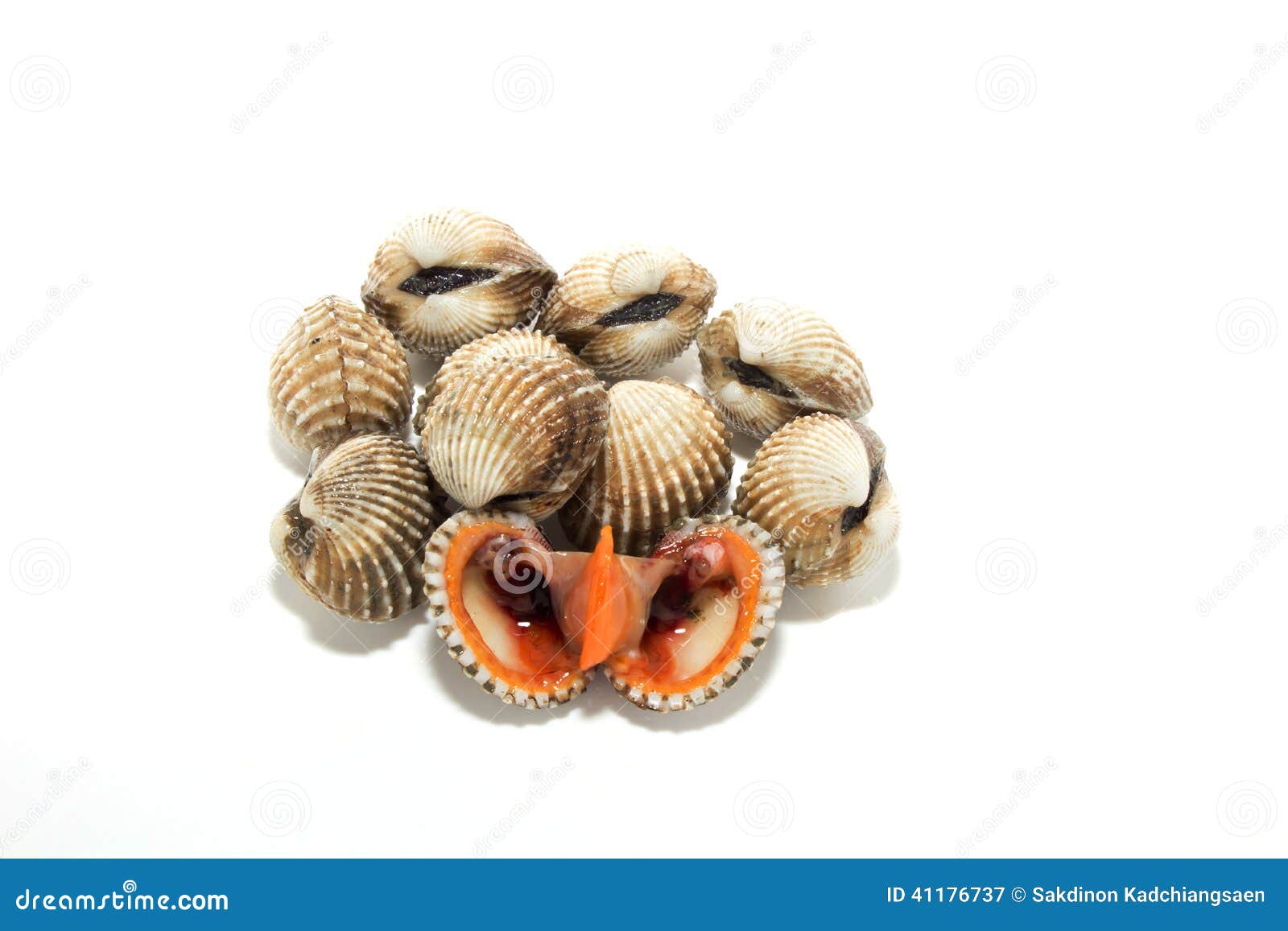 Fresh Shellfish Blood Cockles Stock Image Image of food, jewelry