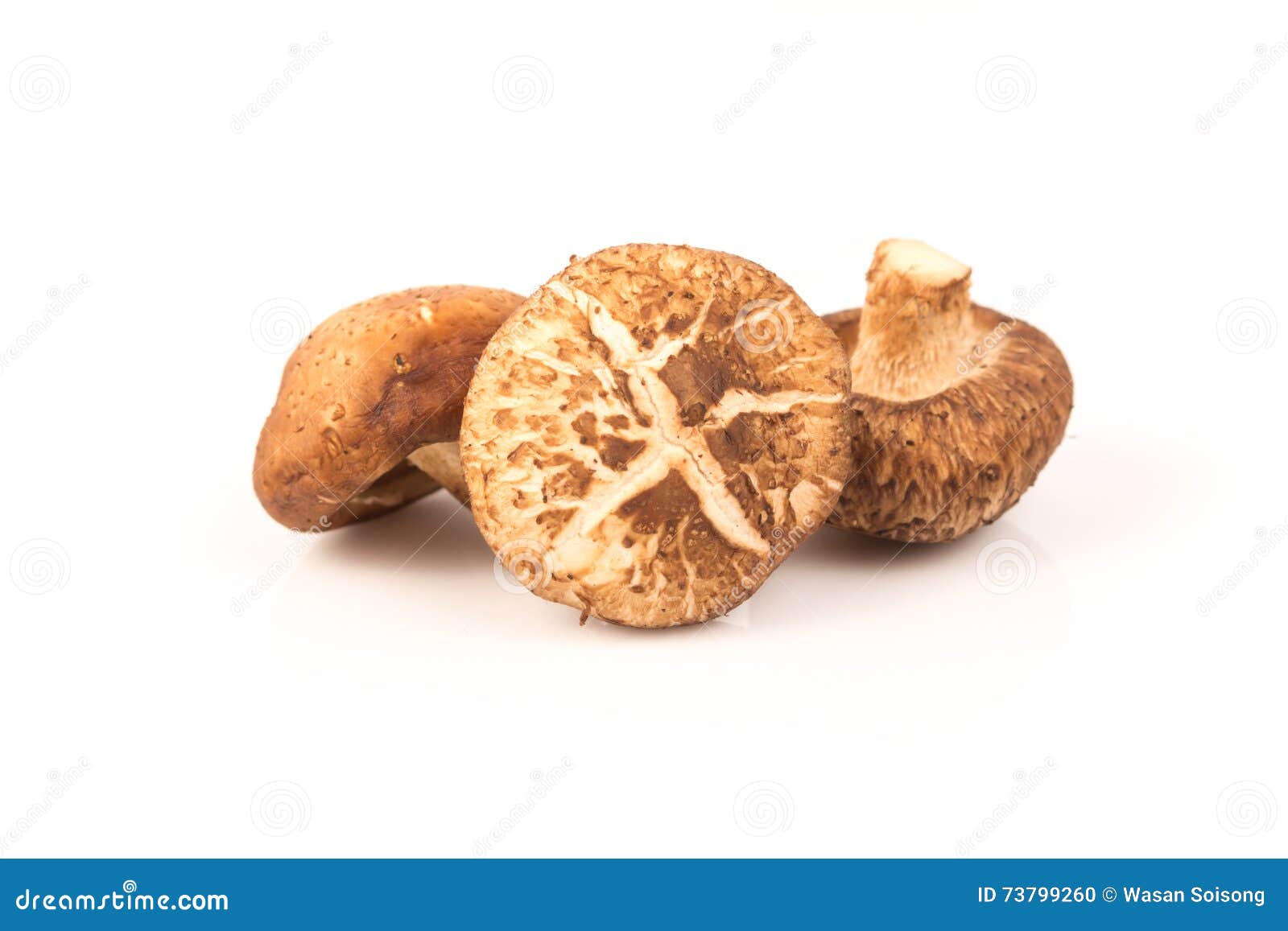 Fresh Shiitake Mushroom on White Stock Photo Image of isolated, fresh 73799260