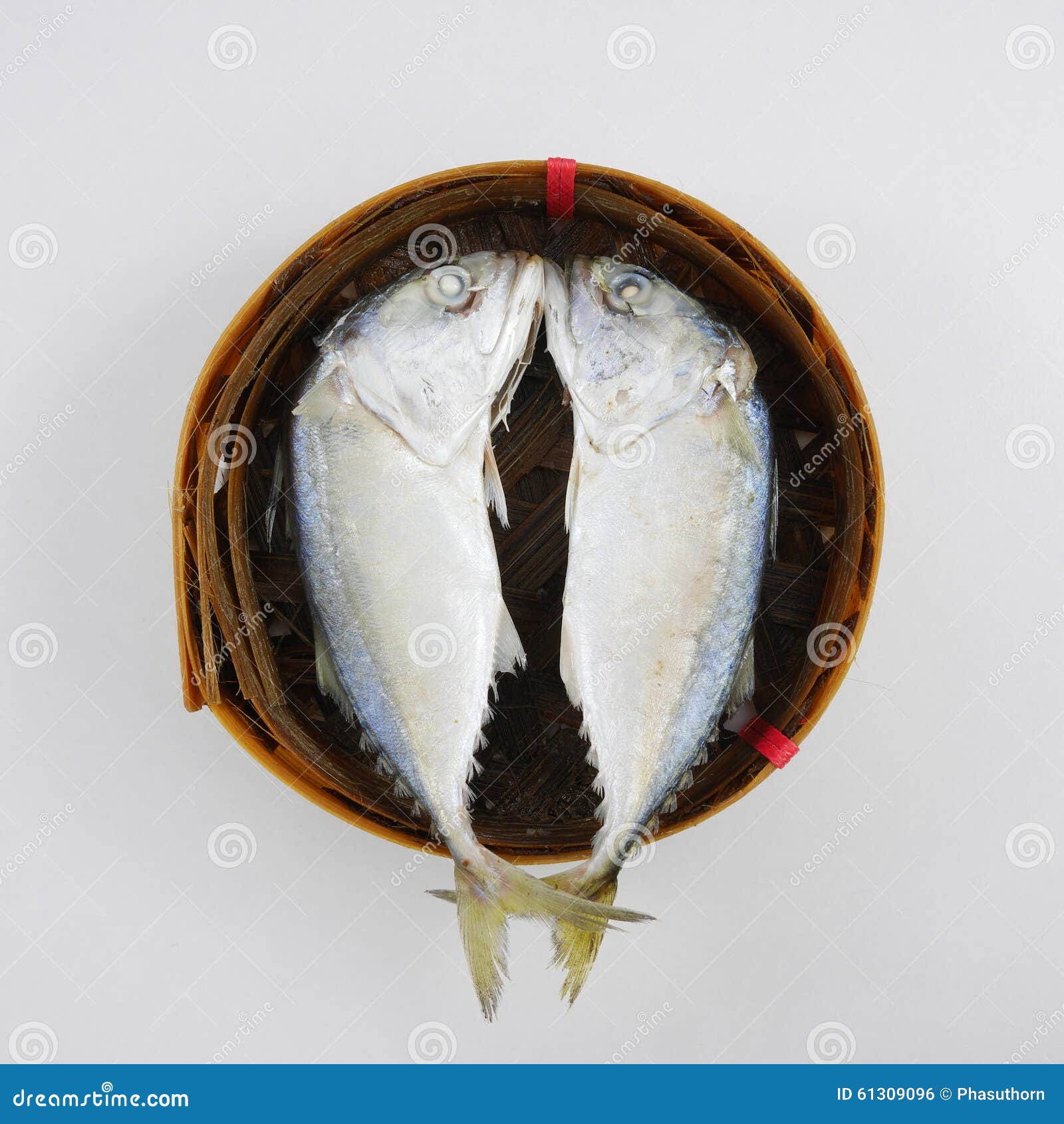 The Fresh Short Mackerel Fish (1) Stock Photo Image of mackerel