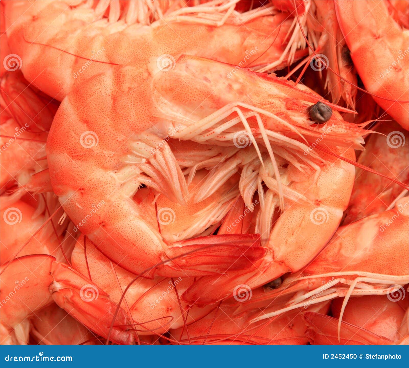 Fresh shrimp stock photo. Image of fresh, marine, seafood 2452450
