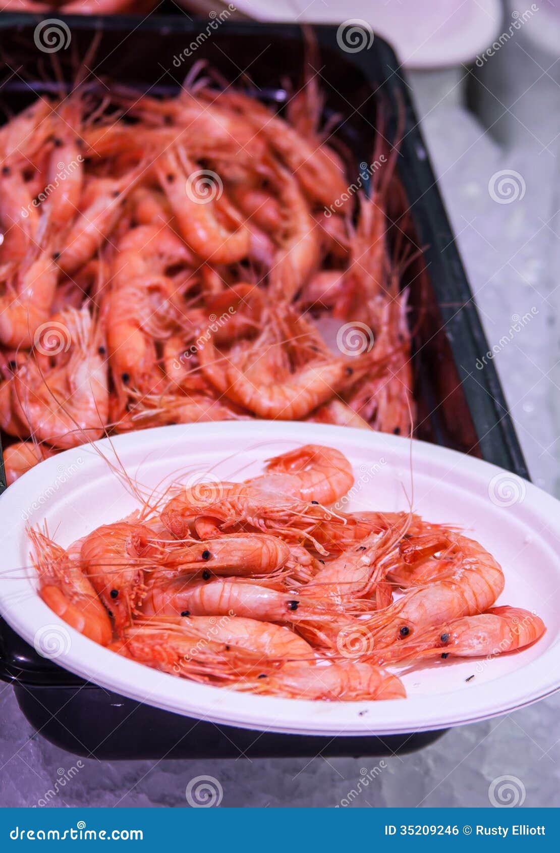 Fresh Shrimp stock photo. Image of gourmet, market, spain 35209246