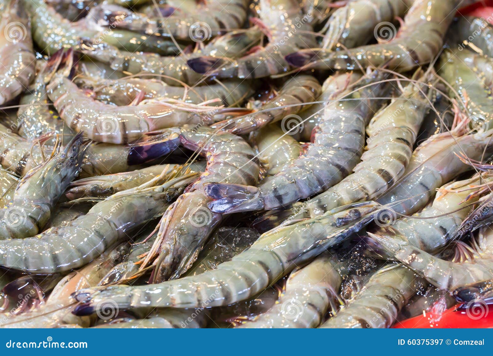 Fresh shrimp at the market stock image. Image of delicious 60375397