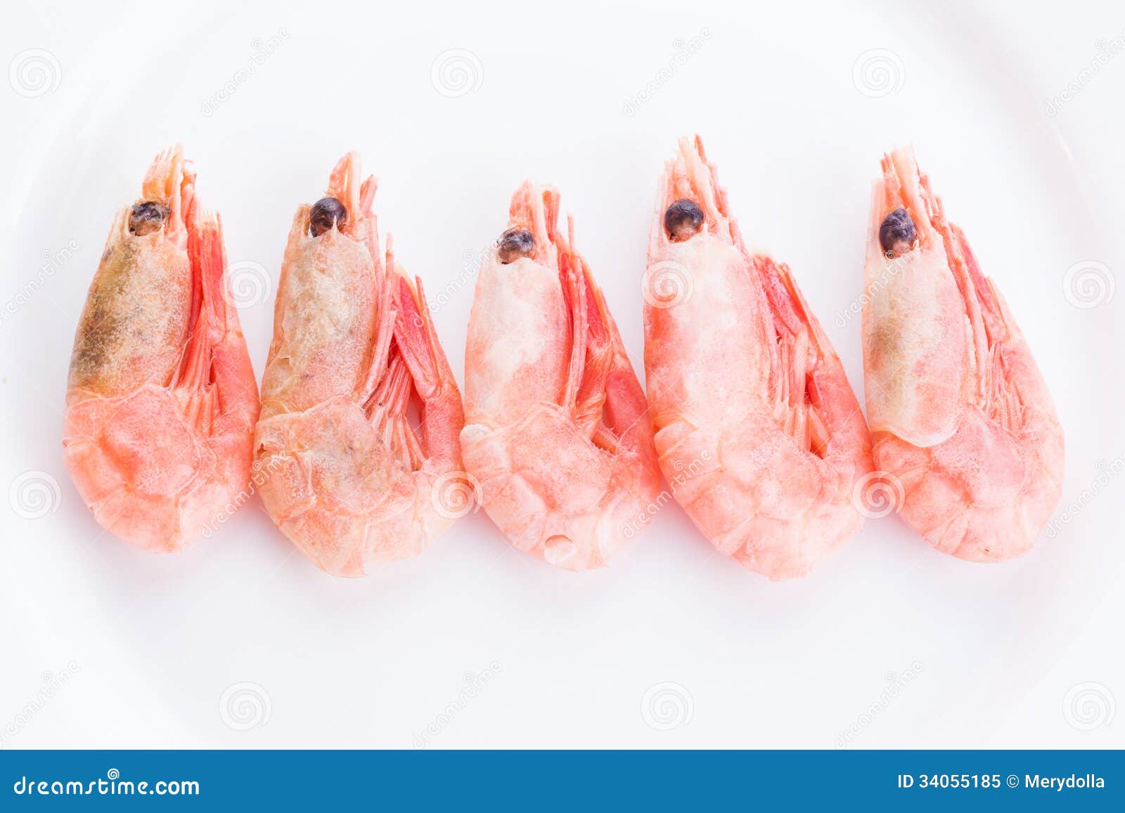 Fresh shrimp stock image. Image of orange, healthy, mollusks 34055185