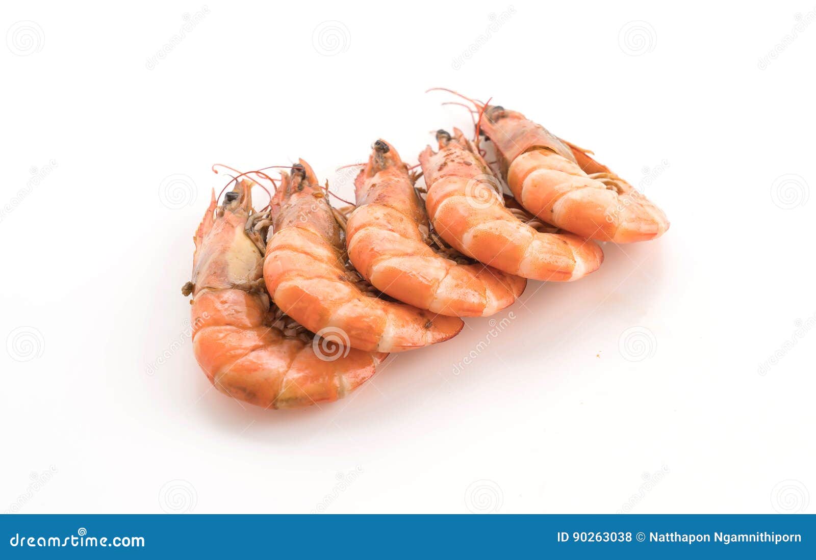 Fresh shrimp/prawn stock photo. Image of food, crustacean 90263038
