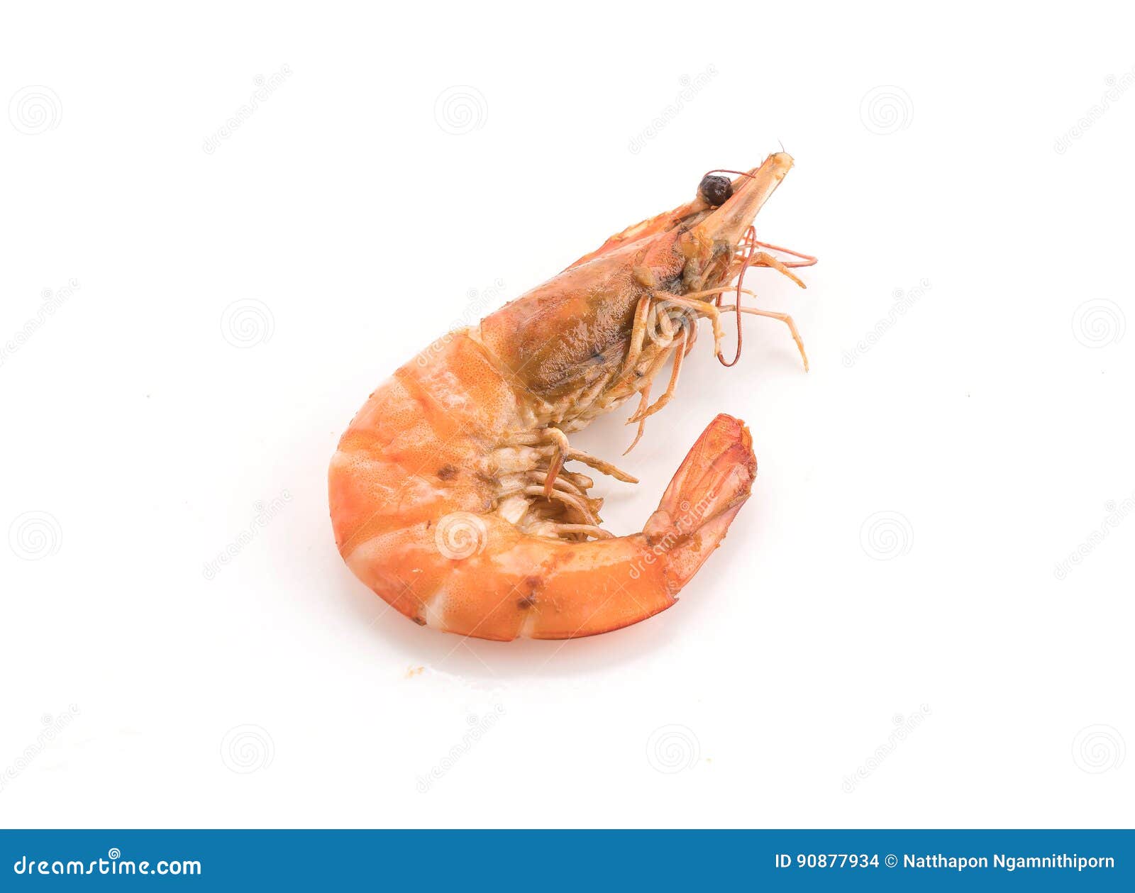 Fresh shrimp/prawn stock photo. Image of ingredient, prawn 90877934