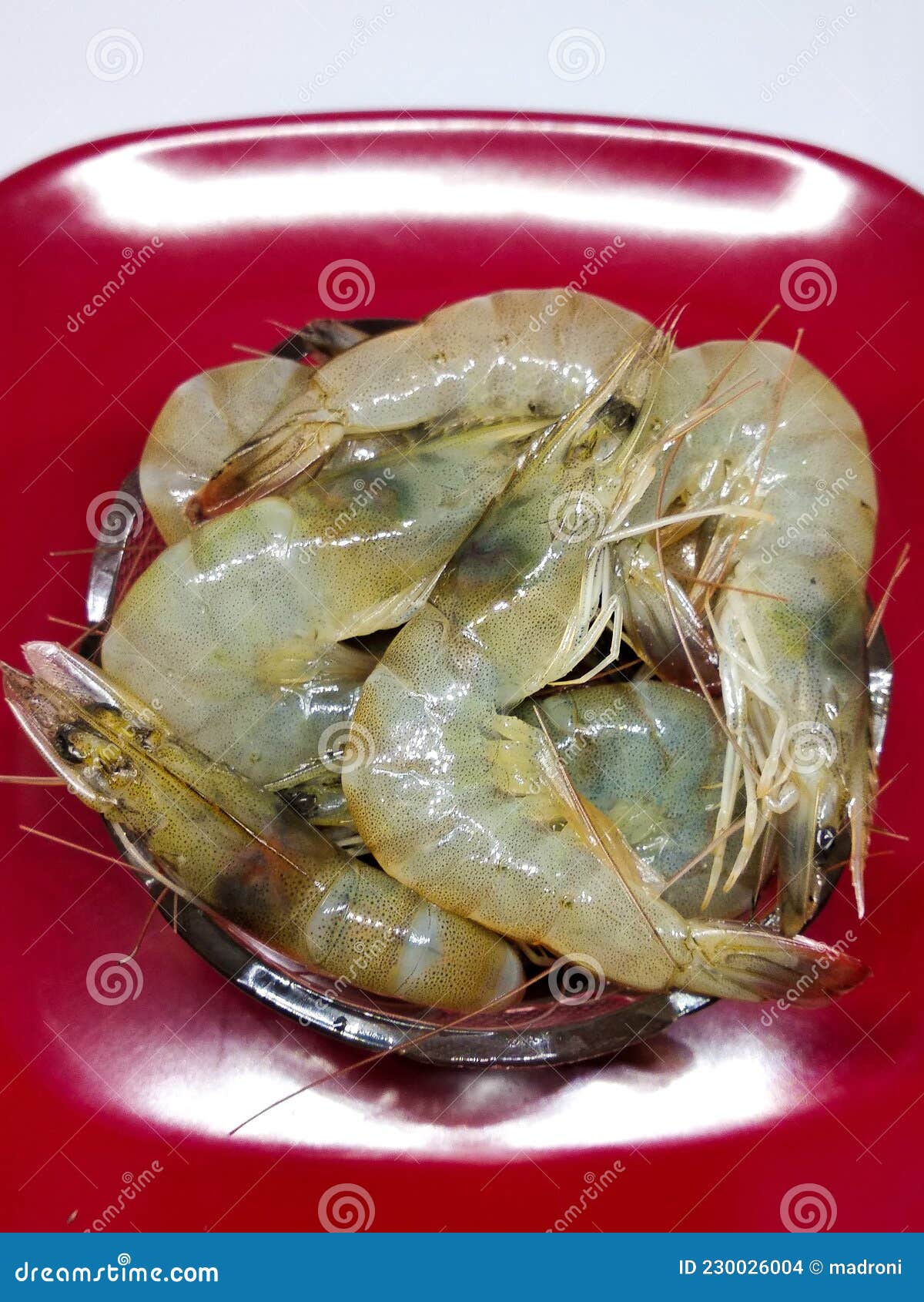 Fresh shrimp ready to cook stock photo. Image of dish 230026004