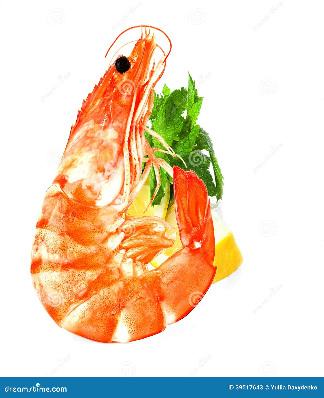 Fresh shrimp stock image. Image of menu, lemon, prepared 39517643