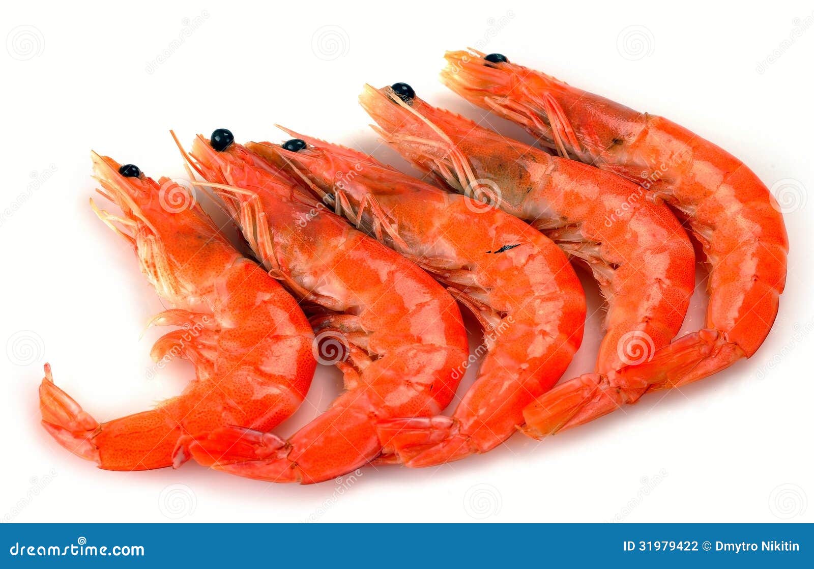 Fresh shrimp stock photo. Image of dinner, piece, party 31979422