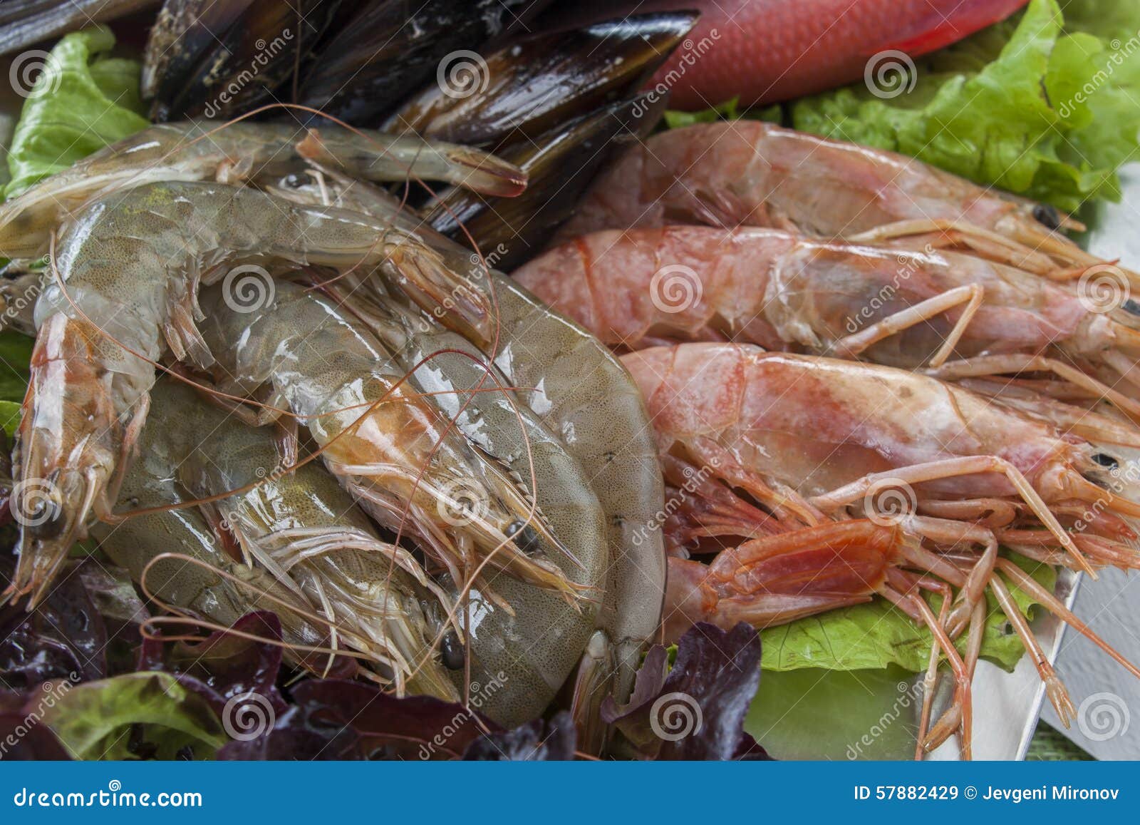 fresh shrimps and fish