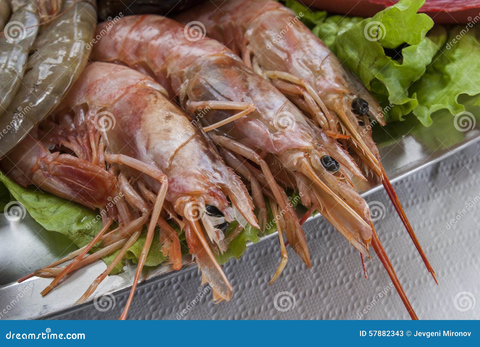 fresh shrimps