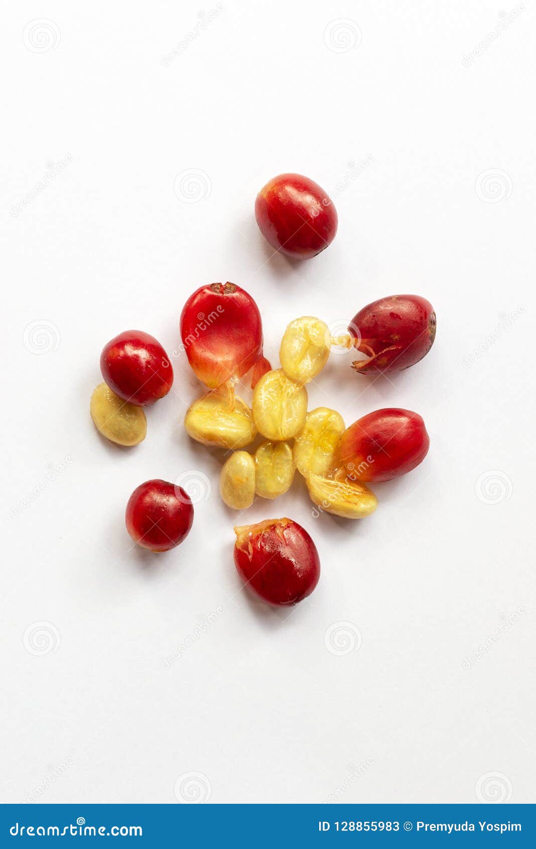 fresh skin of coffee cherries for made cascara tea eco-friendly