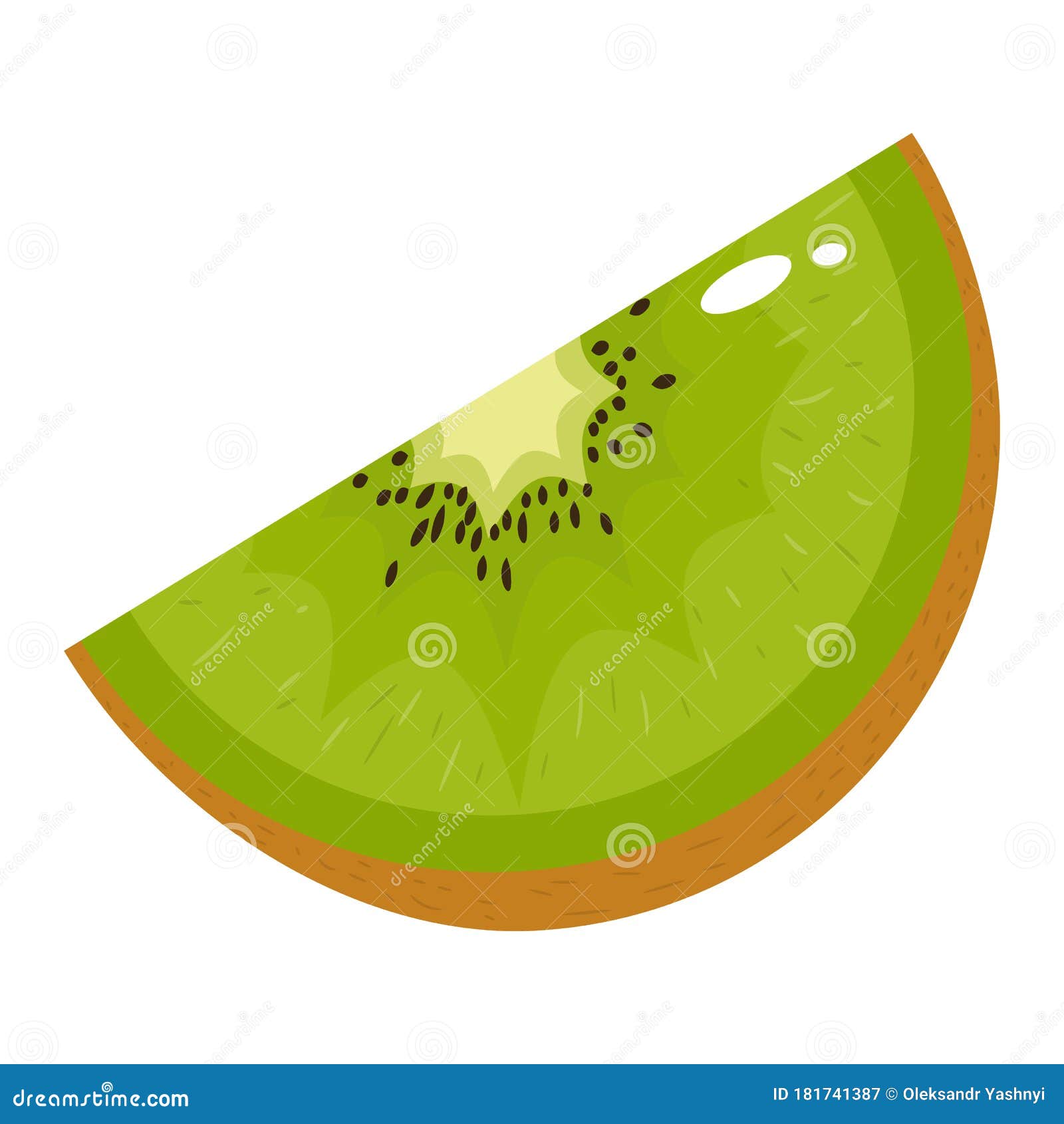fresh slice kiwi fruit  on white background. summer fruits for healthy lifestyle. organic fruit. cartoon style. 