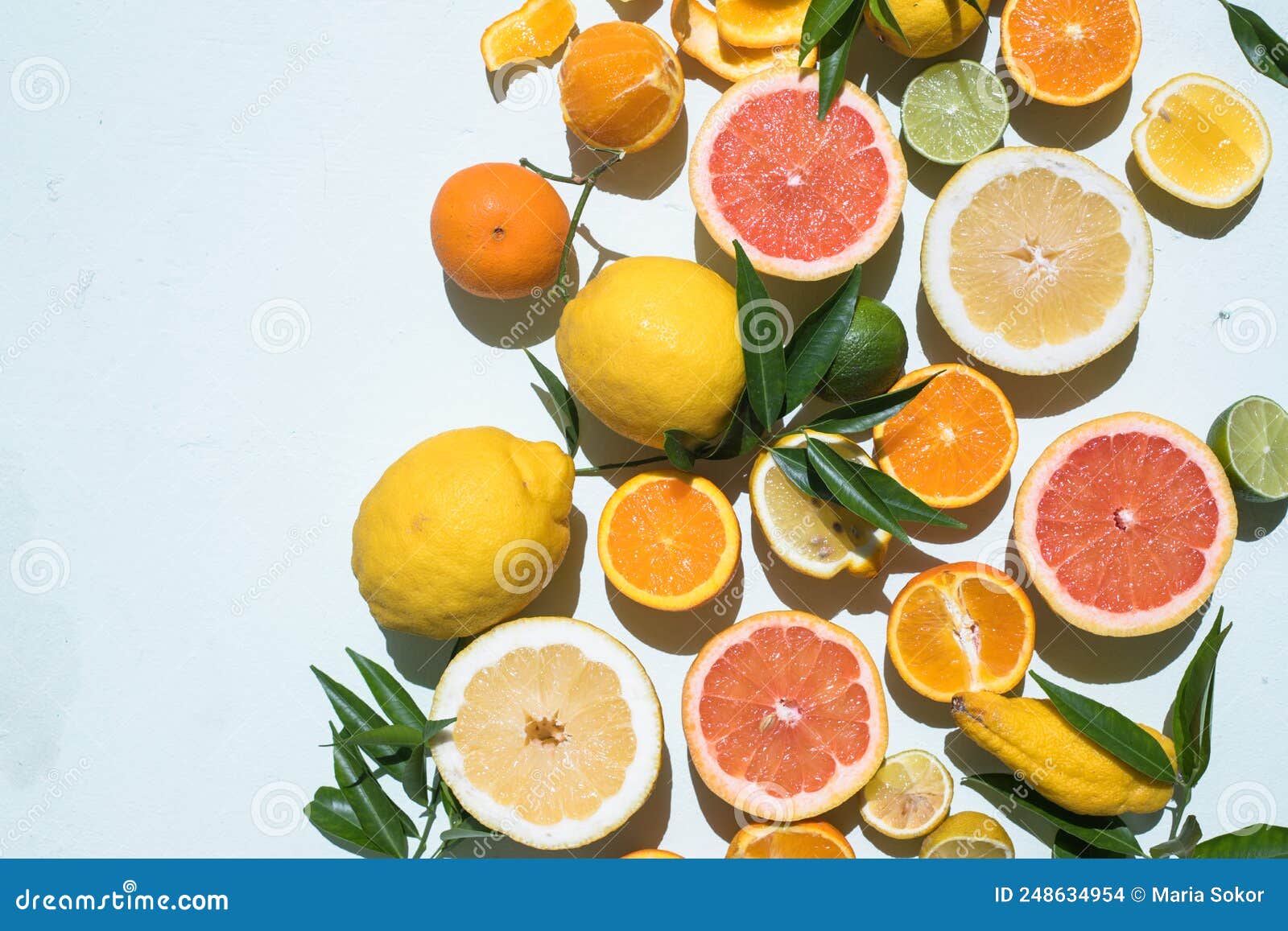 fresh slices of different types of citrus: orange, lime,lemon grapefruit