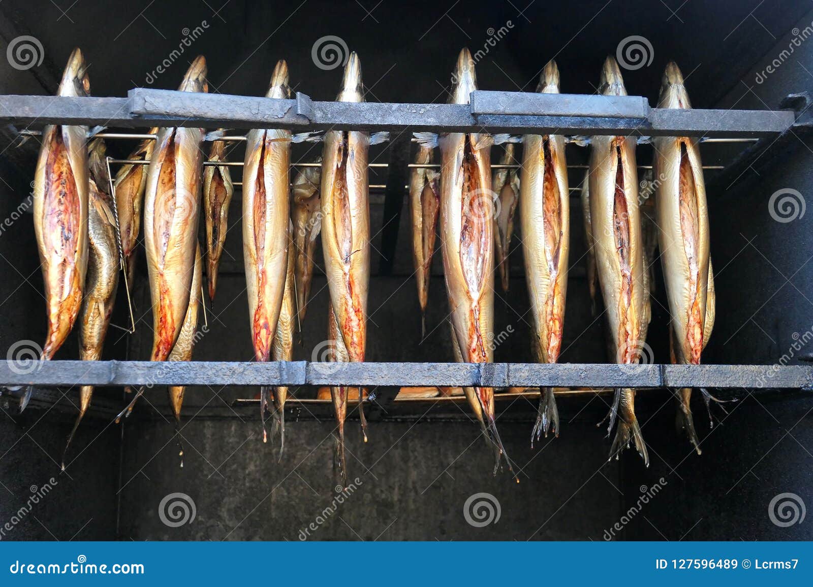 Fresh Smoked Fish in Oven. Smokehouse. Stock Image Image of filet