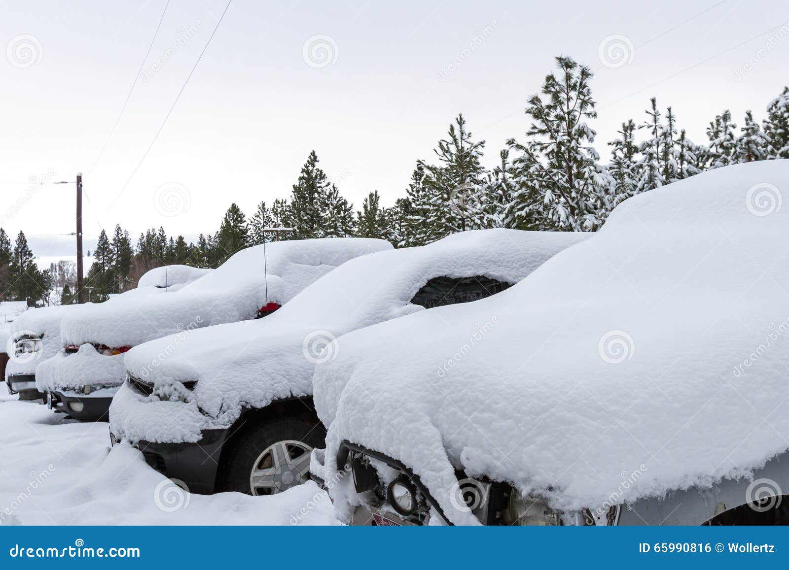 Fresh snow fall. The morning after big snowstorm rolled over the house leaving all the vehicles under a foot of snow in northern Idaho