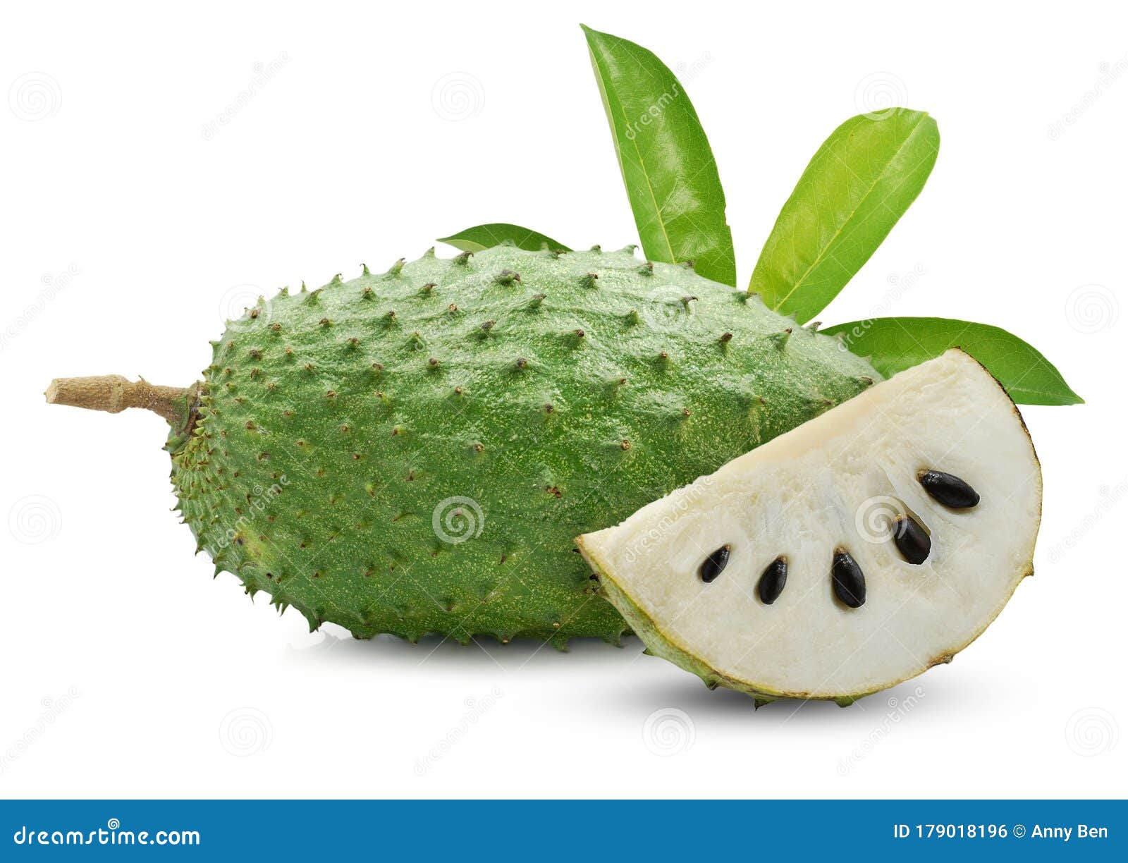 Soursop Fruit Grows On Its Tree In Rarotonga Cook Islands Stock