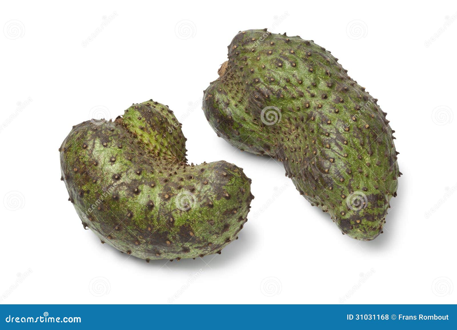 Fresh soursop fruit stock photo. Image of white, custard 31031168