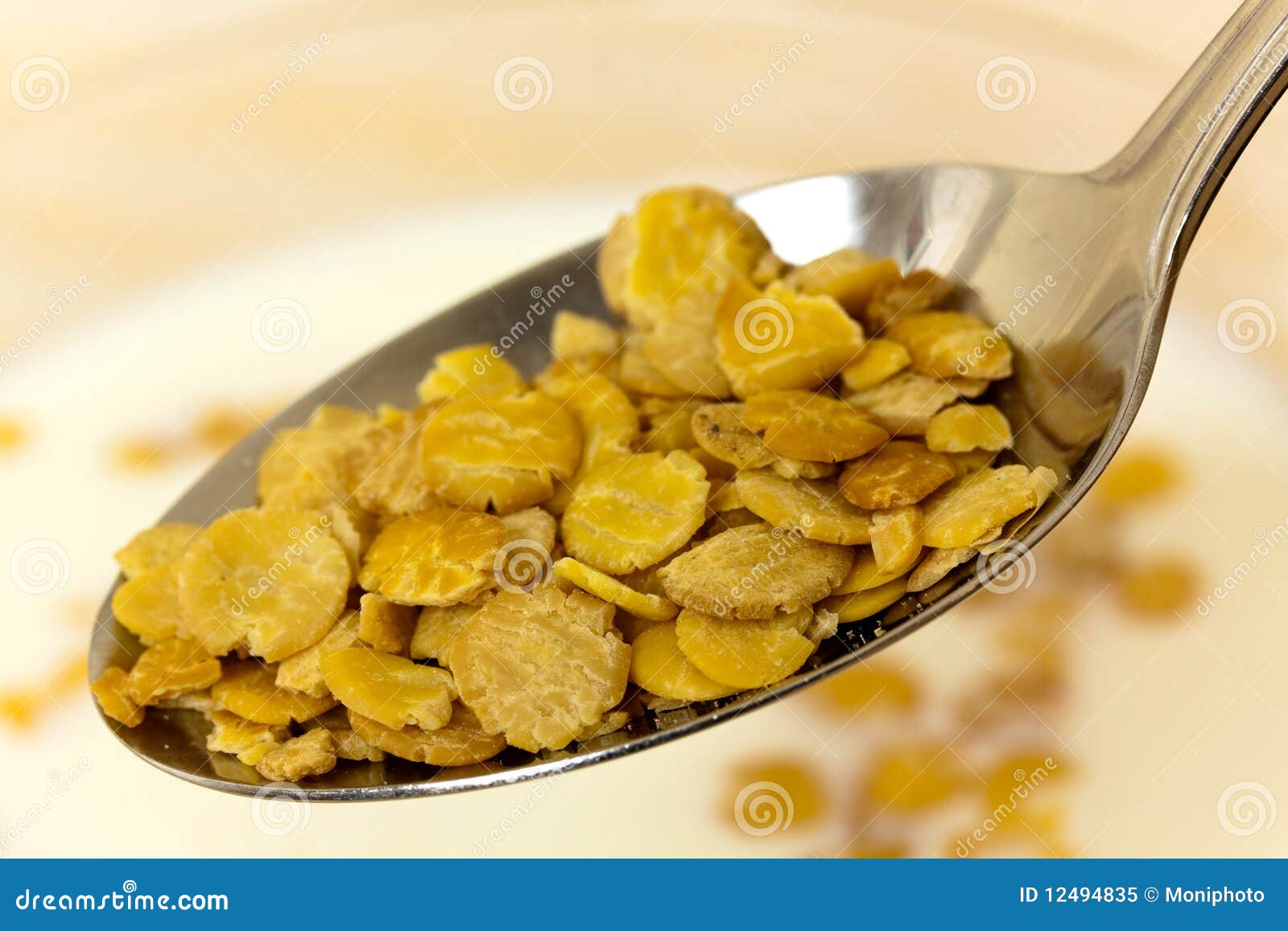 Fresh Soy Flakes and Milk in the Bowl Stock Image Image of plants