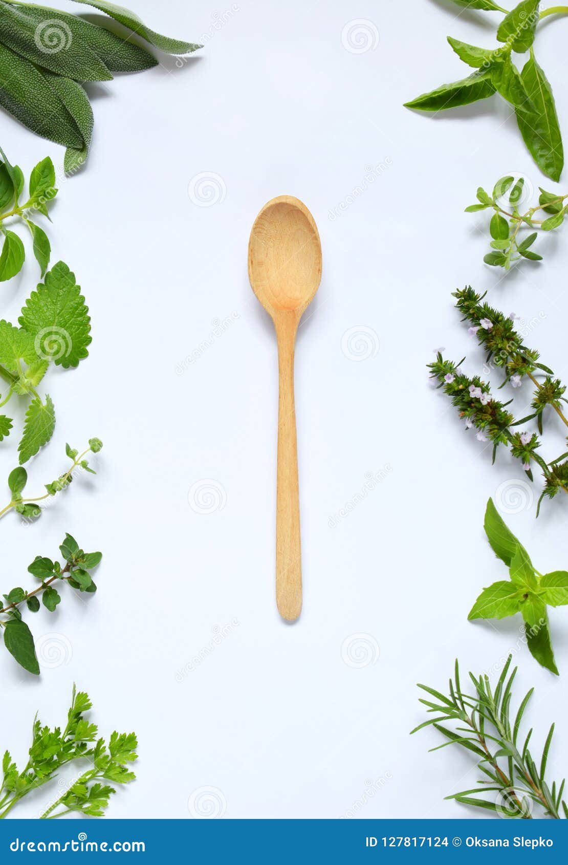 Fresh Spicy and Medicinal Herbs on White Background and Wooden Spoon ...