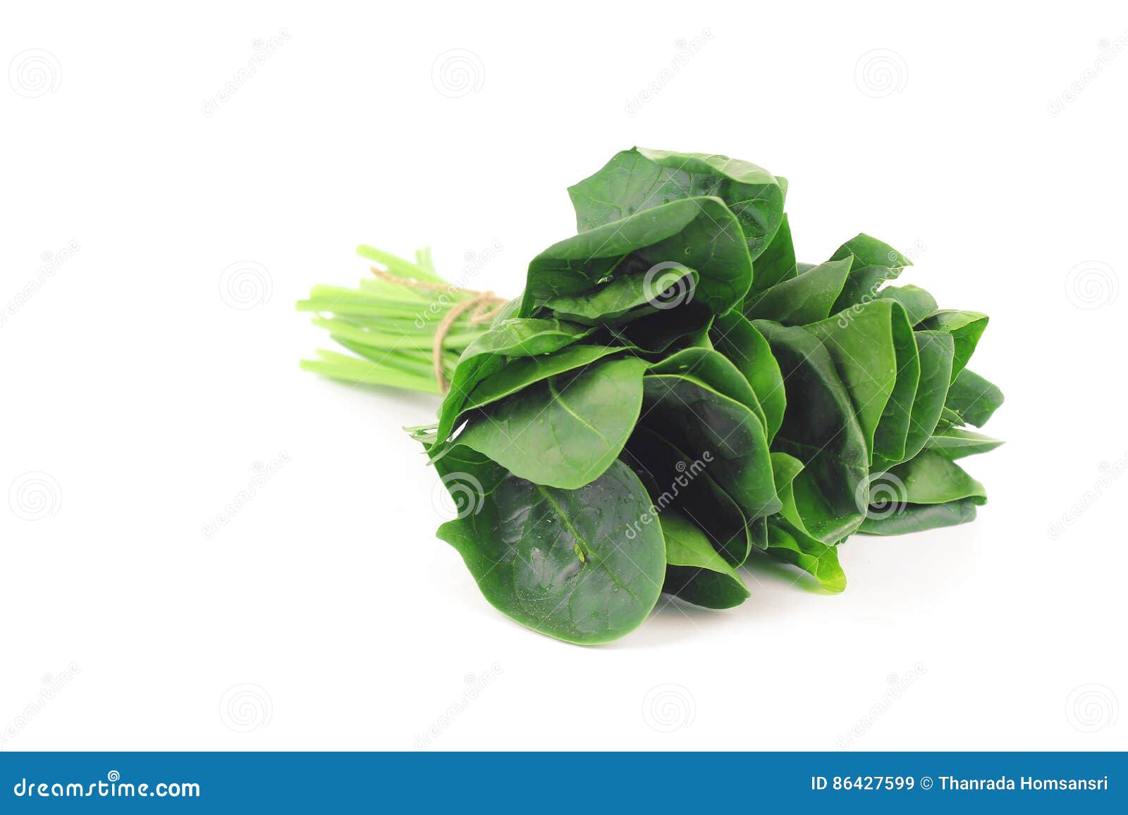 Fresh Spinach, High Protein Stock Image Image of fresh, heart 86427599