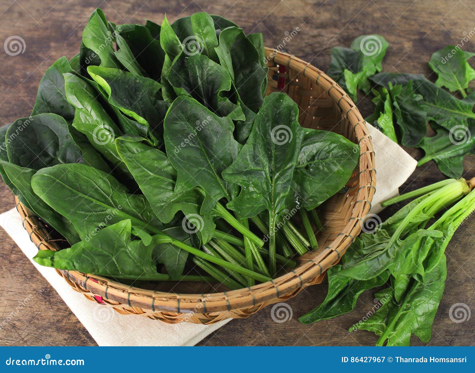 Fresh Spinach, High Protein Stock Image Image of garden, cook 86427967
