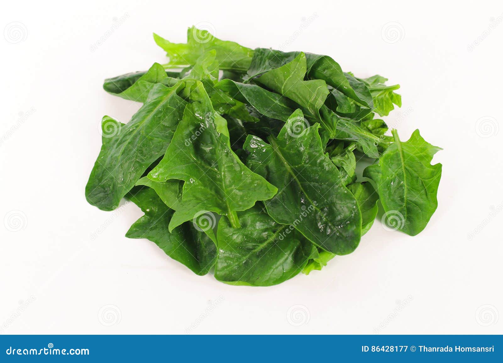 Fresh Spinach, High Protein Stock Image Image of nutrition, meal