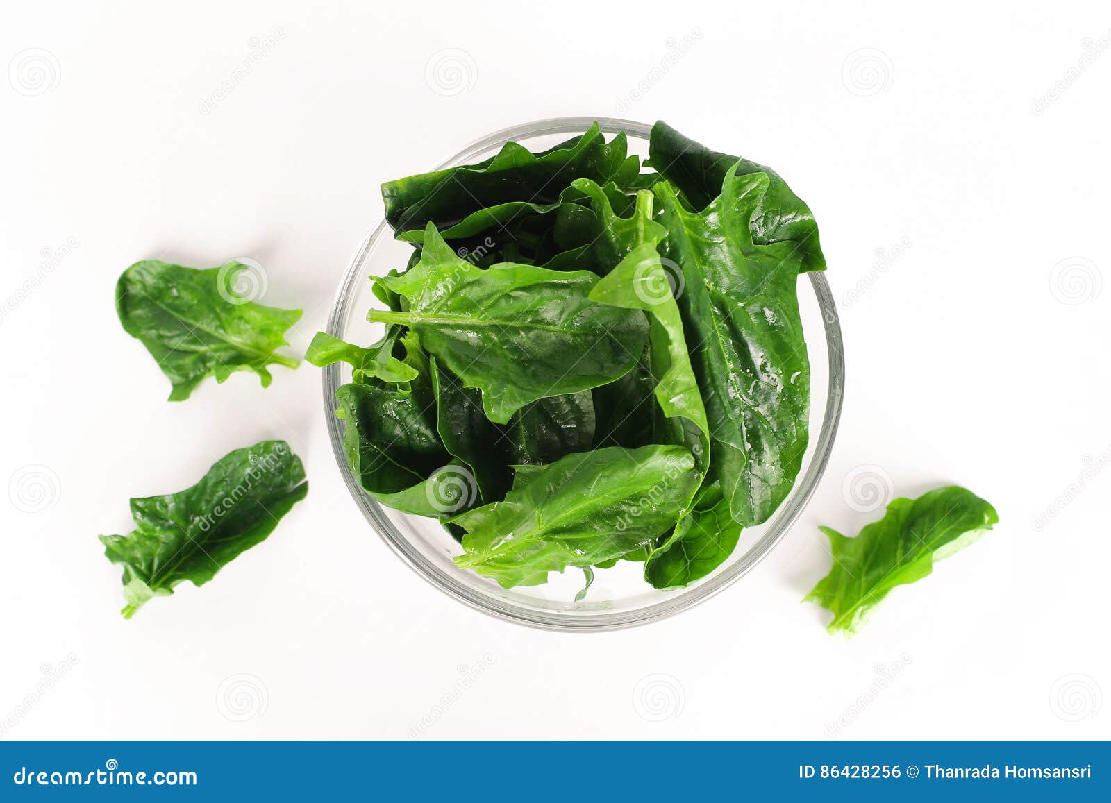 Fresh Spinach, High Protein Stock Photo Image of lifestyle, protein 86428256