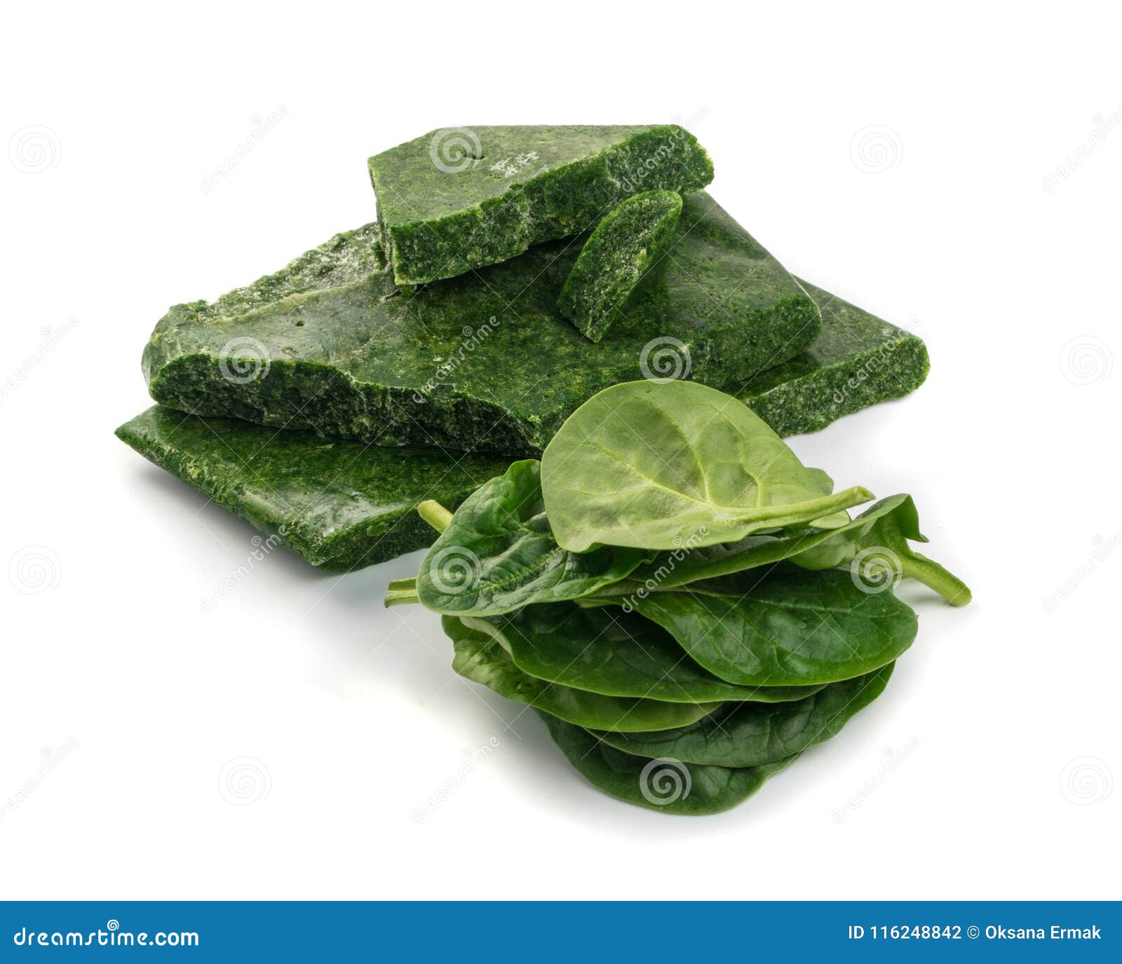 Fresh Spinach Leaves stock photo. Image of color, asian - 116248842