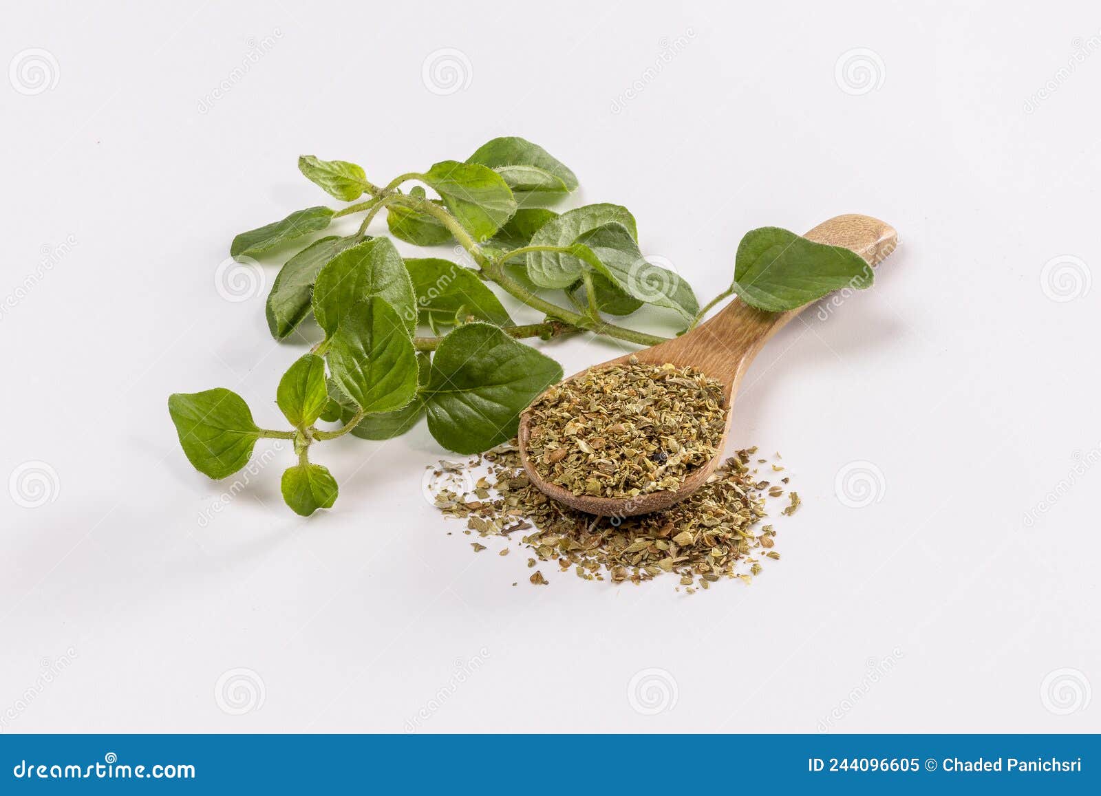 Fresh Sprig of Oregano and Dry Oregano Spice Isolated on White