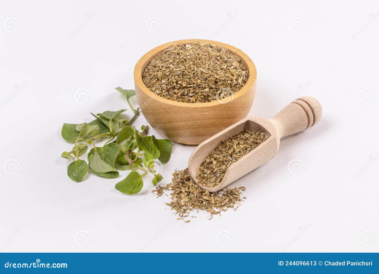 Fresh Sprig of Oregano and Dry Oregano Spice Isolated on White