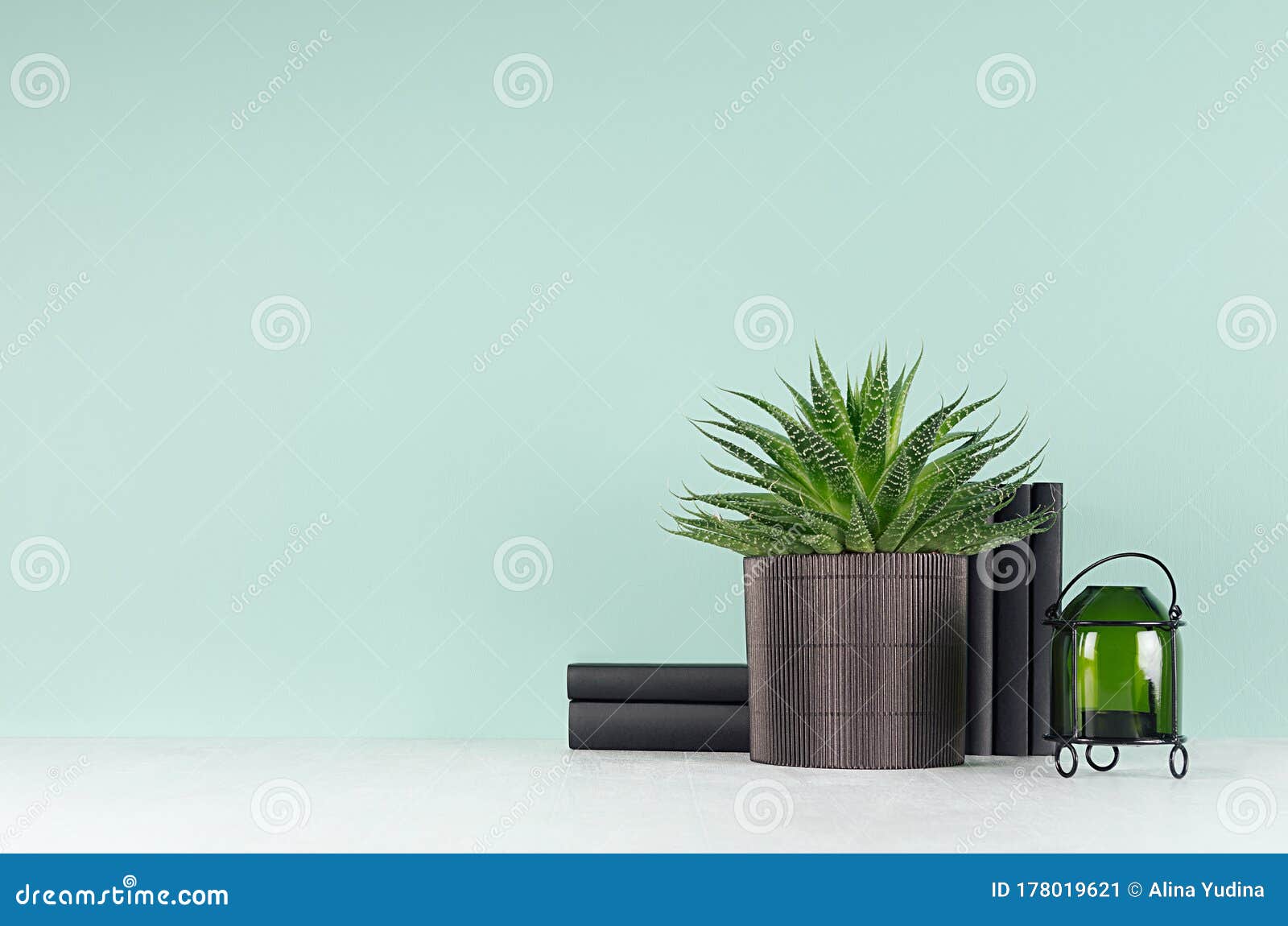 11,932 Aloe Plant Pot Stock Photos - Free & Royalty-Free Stock Photos from  Dreamstime - Page 10