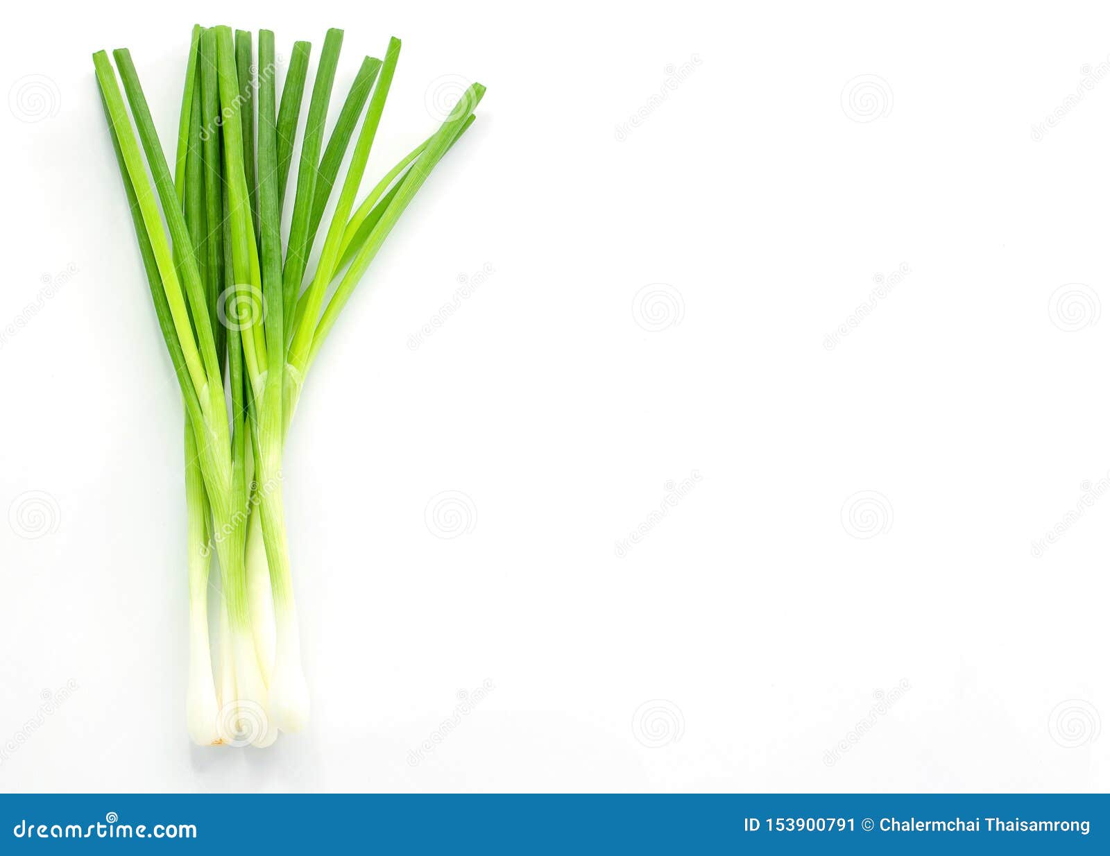 fresh spring onions  on white background with copy space