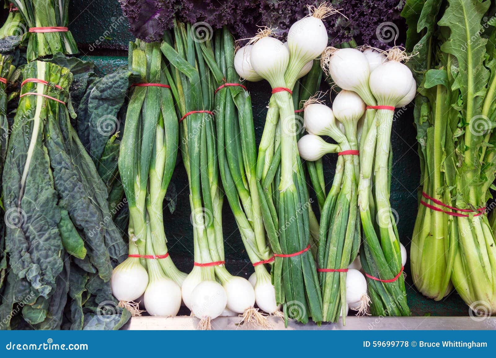 Fresh Spring Onions for Sale in Shop Stock Photo Image of ingredient, salad 59699778