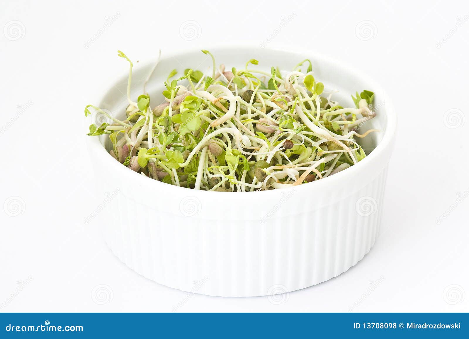 Fresh sprouts stock photo. Image of nutrition, germ, plant 13708098