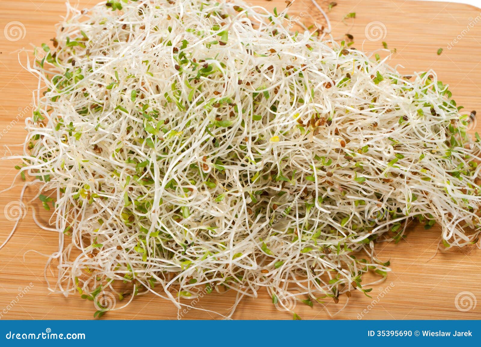 Fresh sprouts stock photo. Image of nature, life, germinate 35395690
